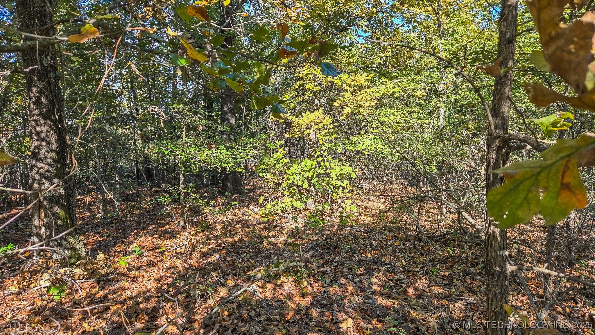 S 4270 Road Property Photo 58