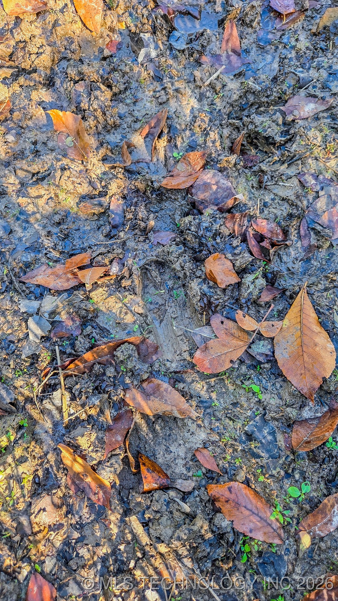 S 4270 Road Property Photo 59