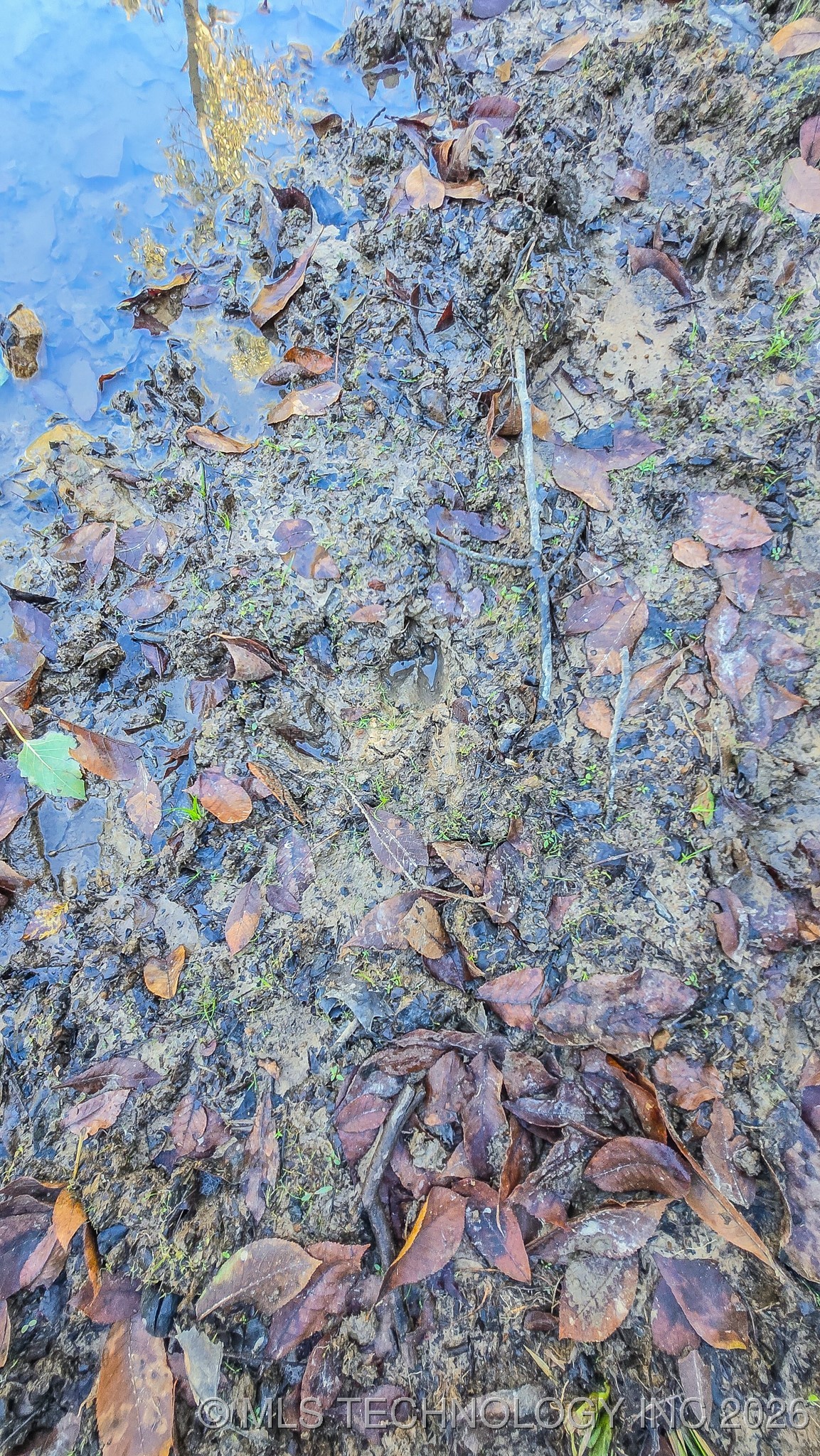 S 4270 Road Property Photo 60