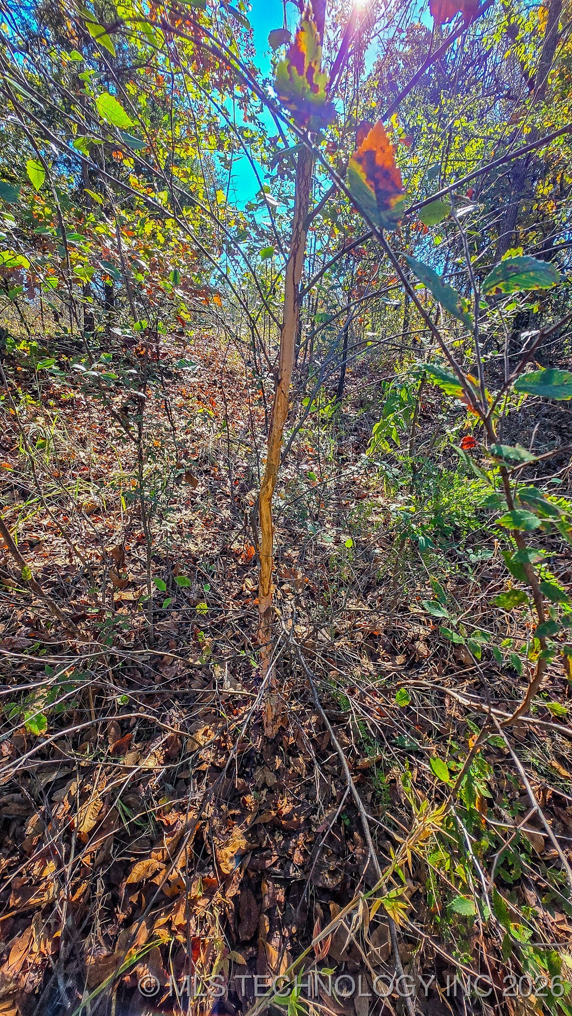 S 4270 Road Property Photo 61