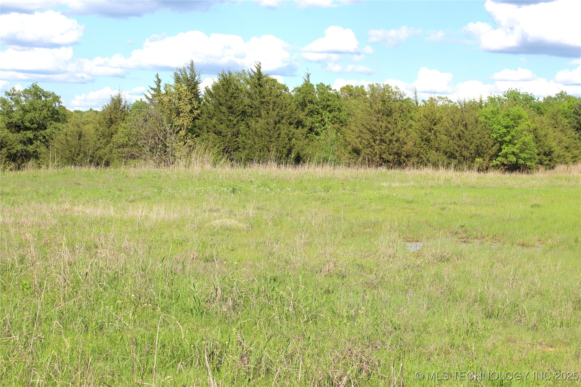 14233 S 142nd Road Property Photo 13