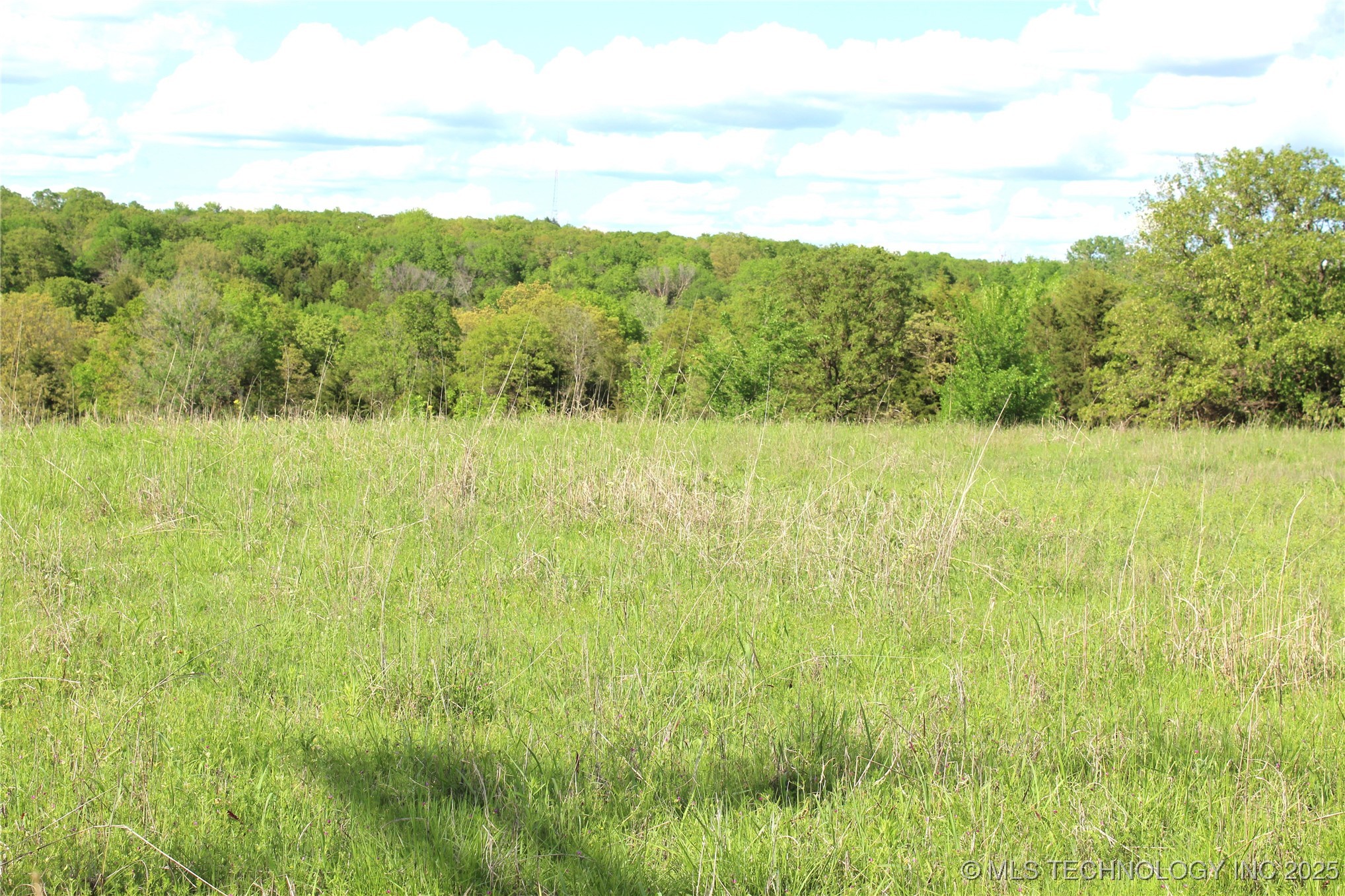 14233 S 142nd Road Property Photo 15