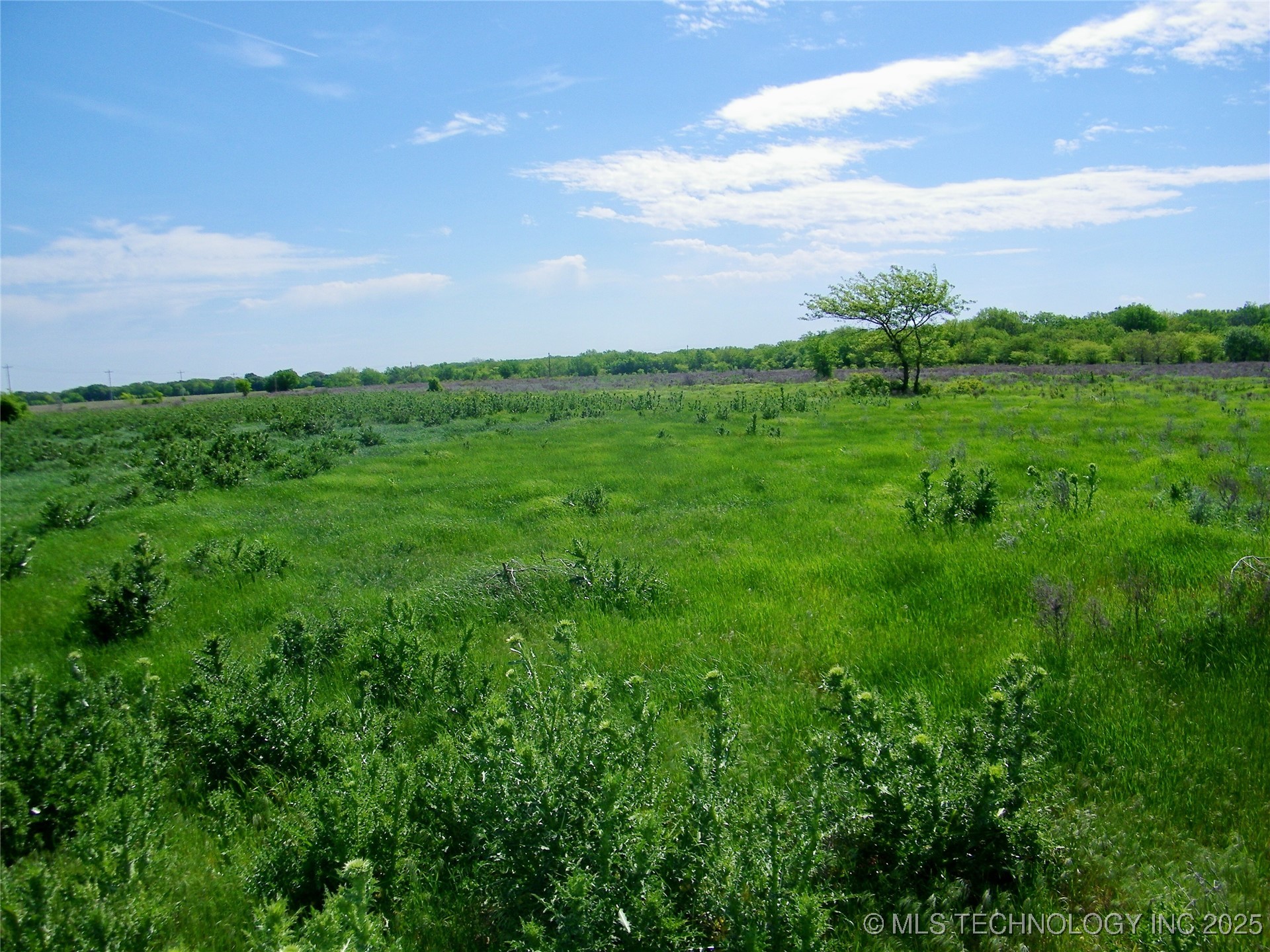 E 290 Road Property Photo 2