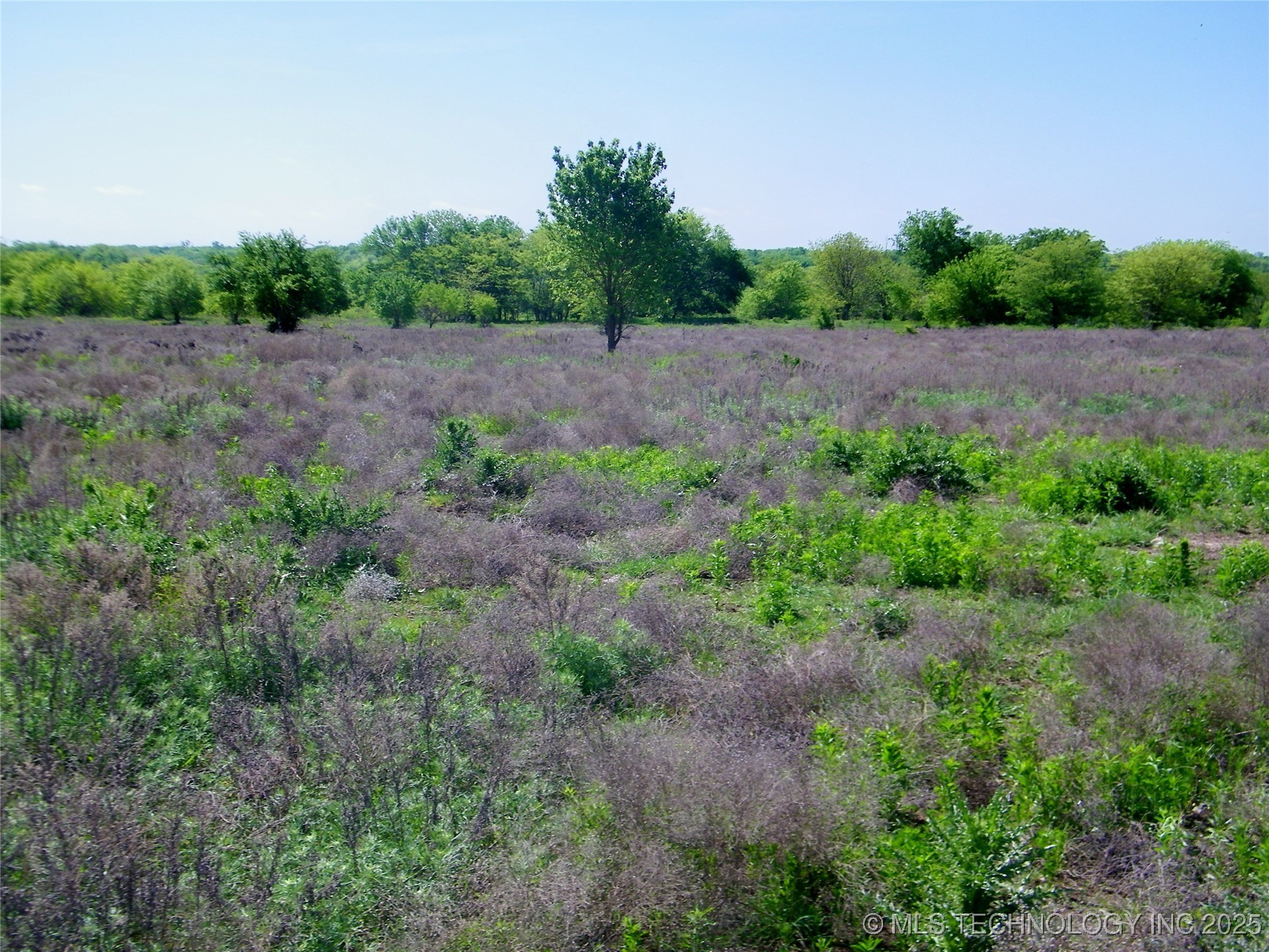 E 290 Road Property Photo 8