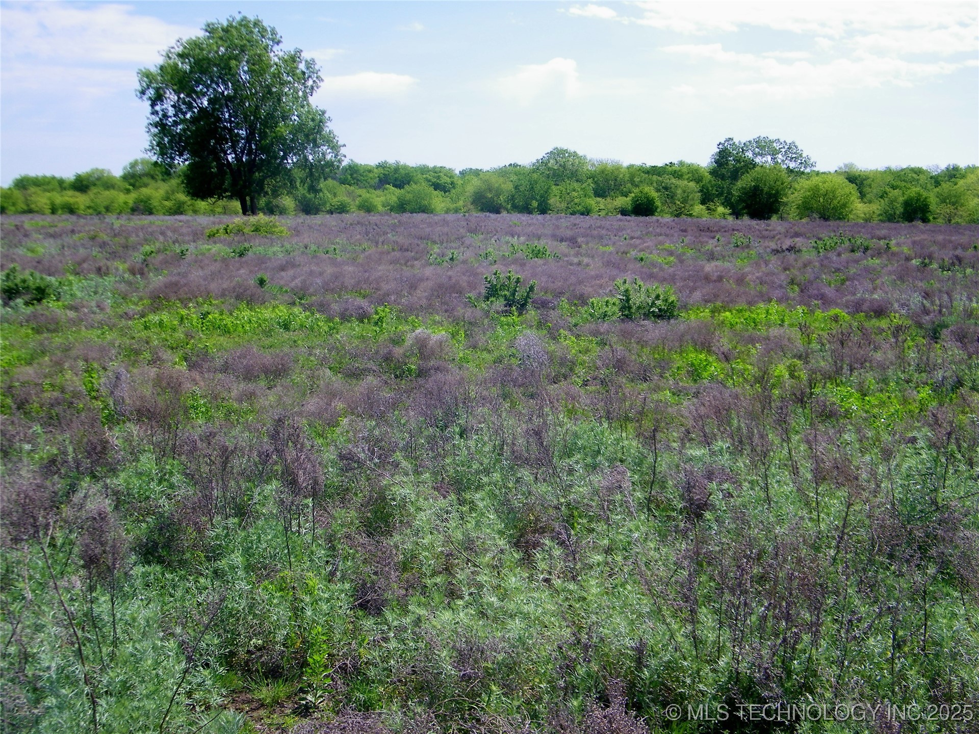 E 290 Road Property Photo 9