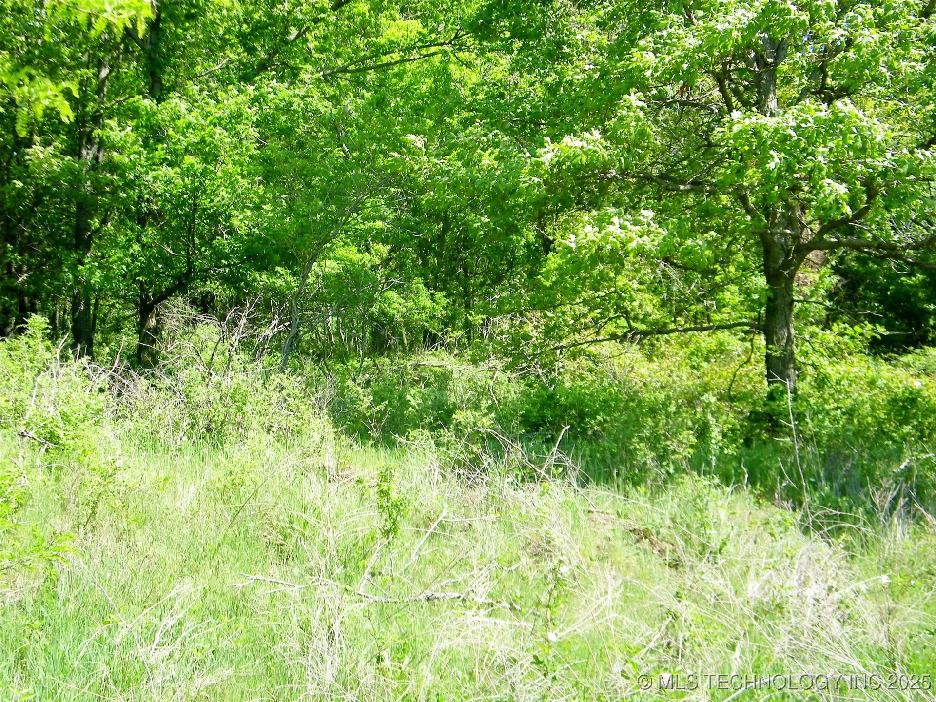 E 290 Road Property Photo 14