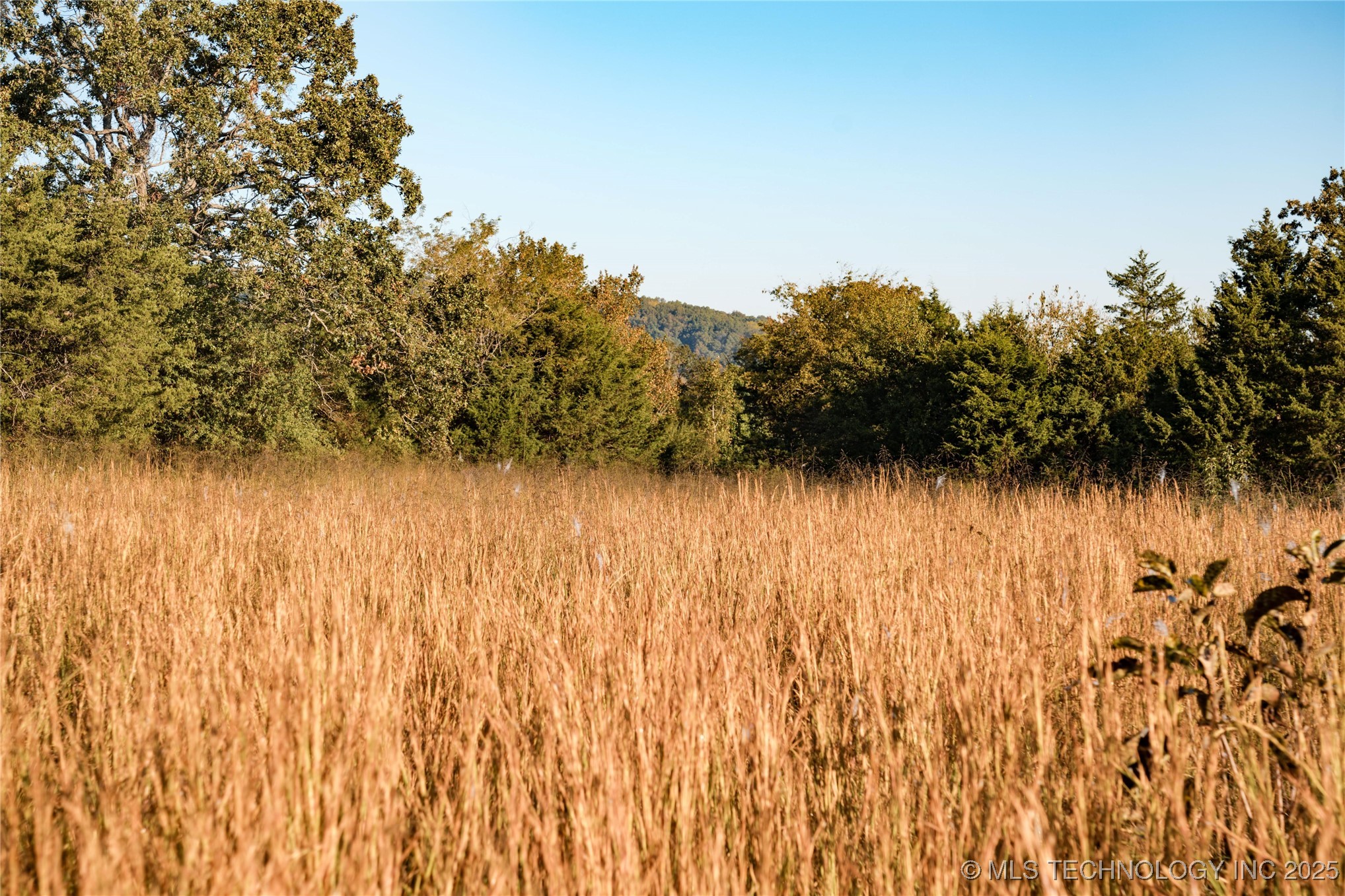 13468 N Hwy 10 Property Photo 98