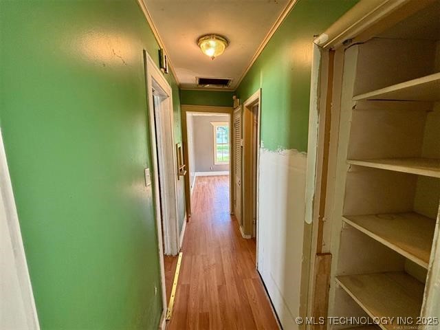 2919 Elgin Street Property Photo 4