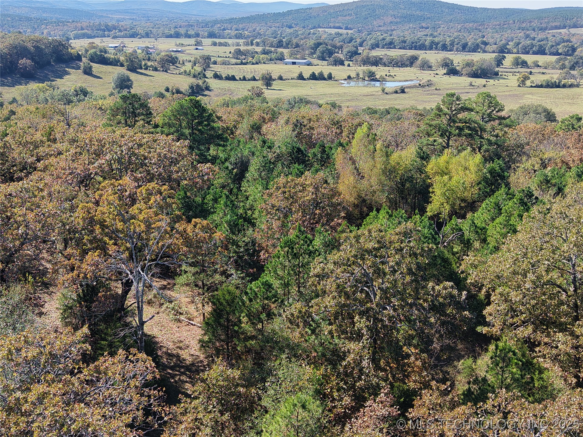 Rural Route Property Photo 4