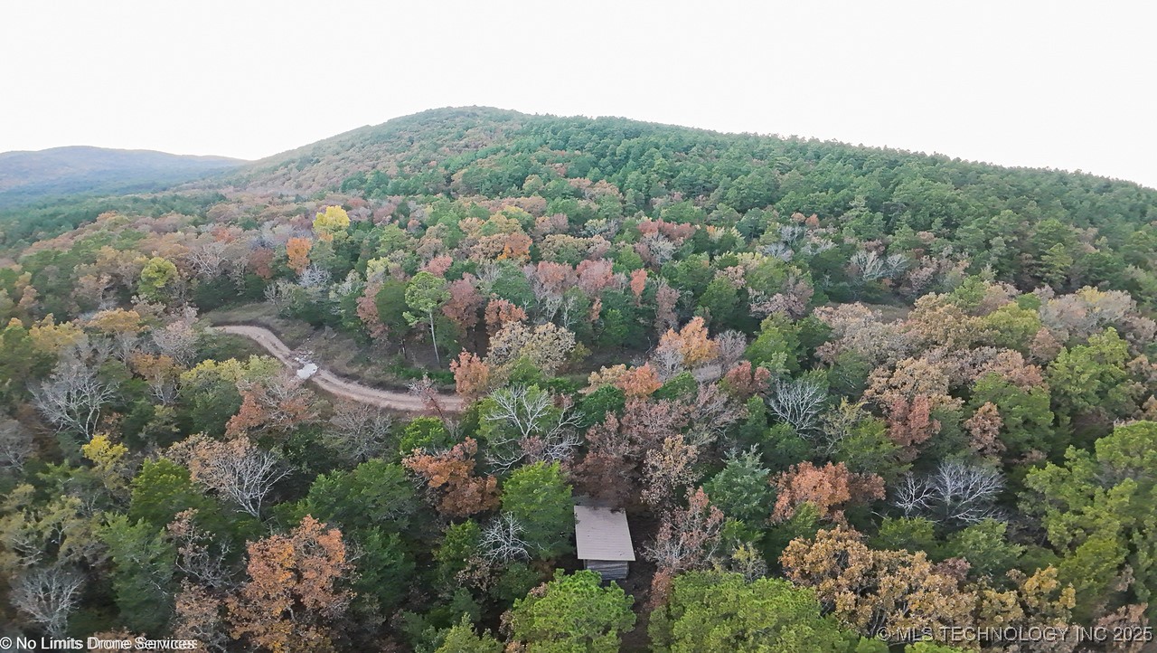 288670 Cemetery Road Property Photo 36