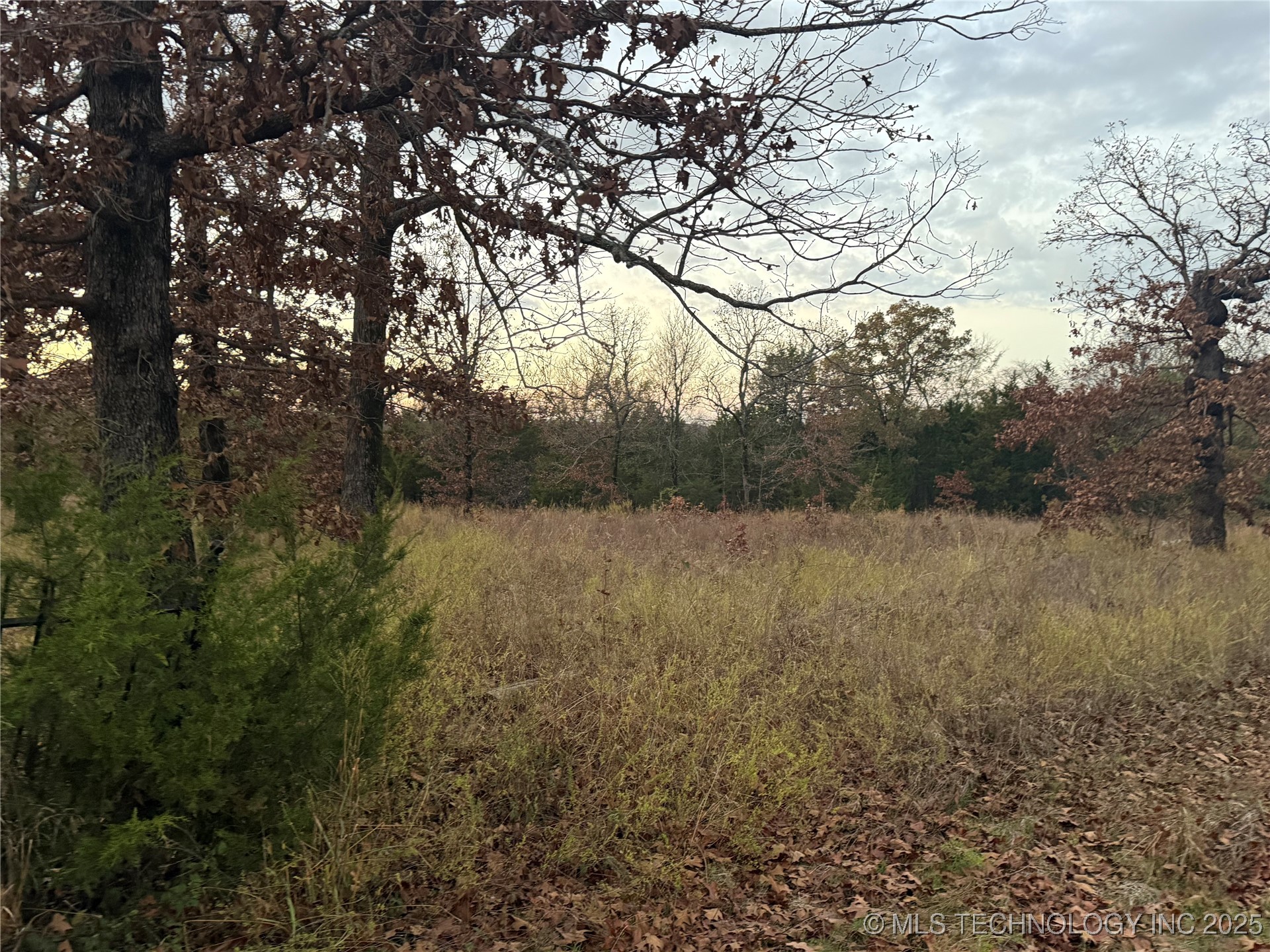 20 Lakeside Property Photo 19