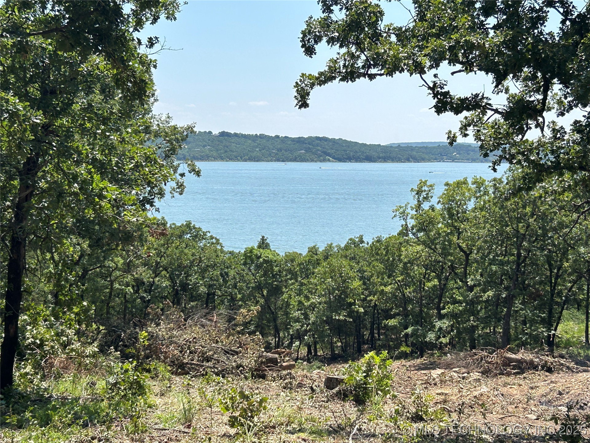 156 Patriot Pointe Property Photo 2