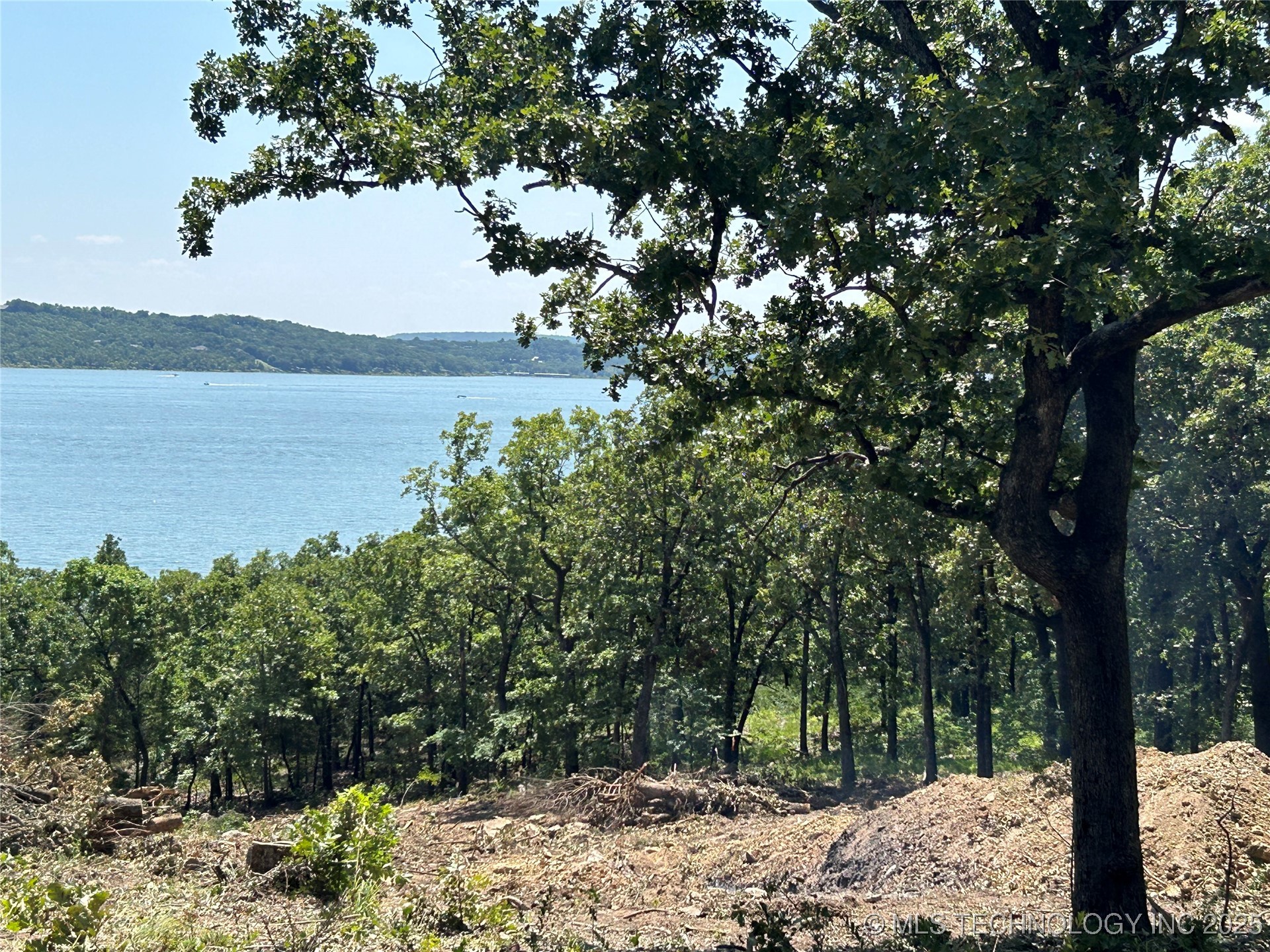 156 Patriot Pointe Property Photo 3