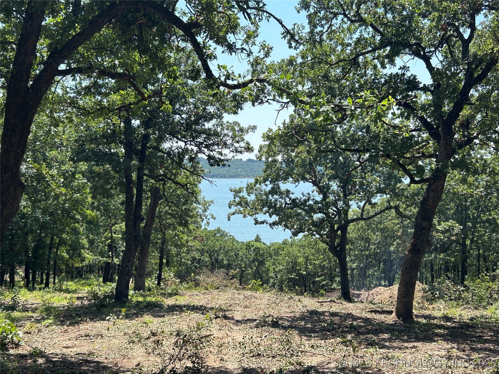 156 Patriot Pointe Property Photo 4