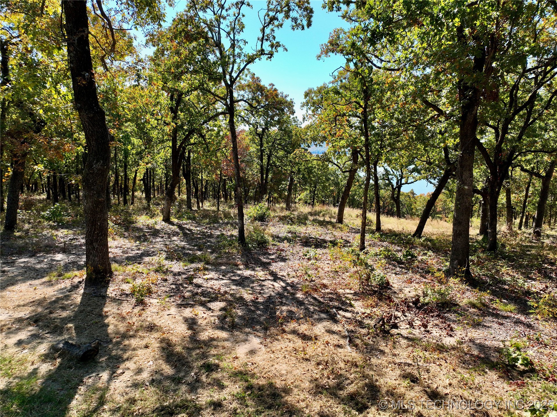 156 Patriot Pointe Property Photo 15