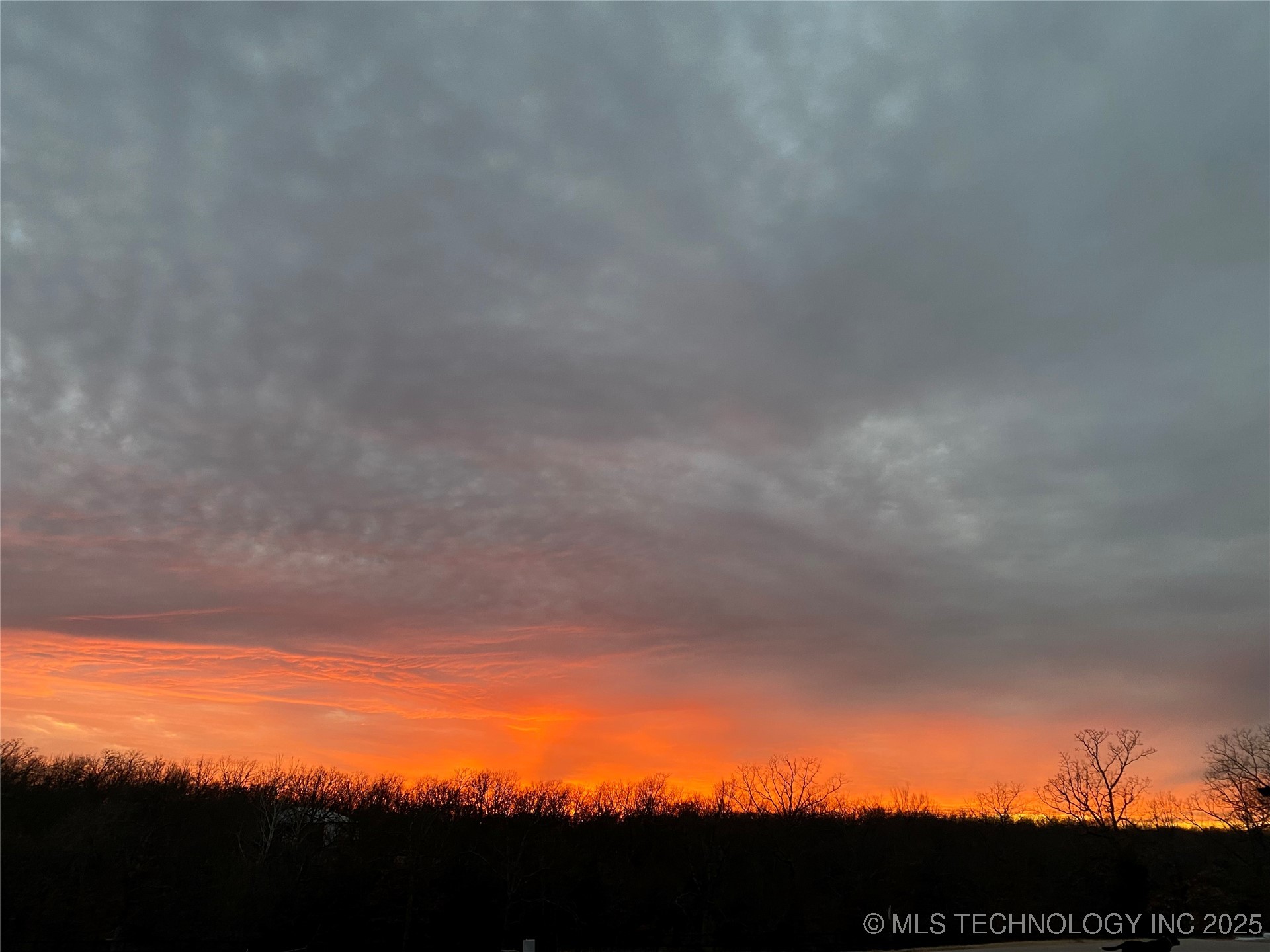 3334 N State Hwy 97 Property Photo 85