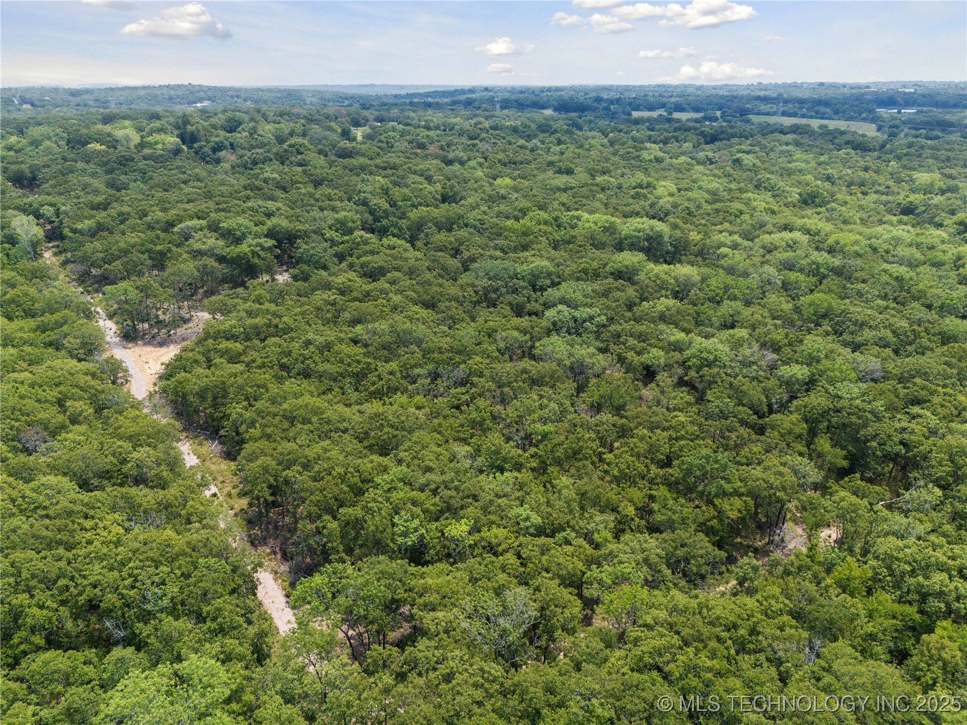 20910 Black Jack Trail Property Photo 3