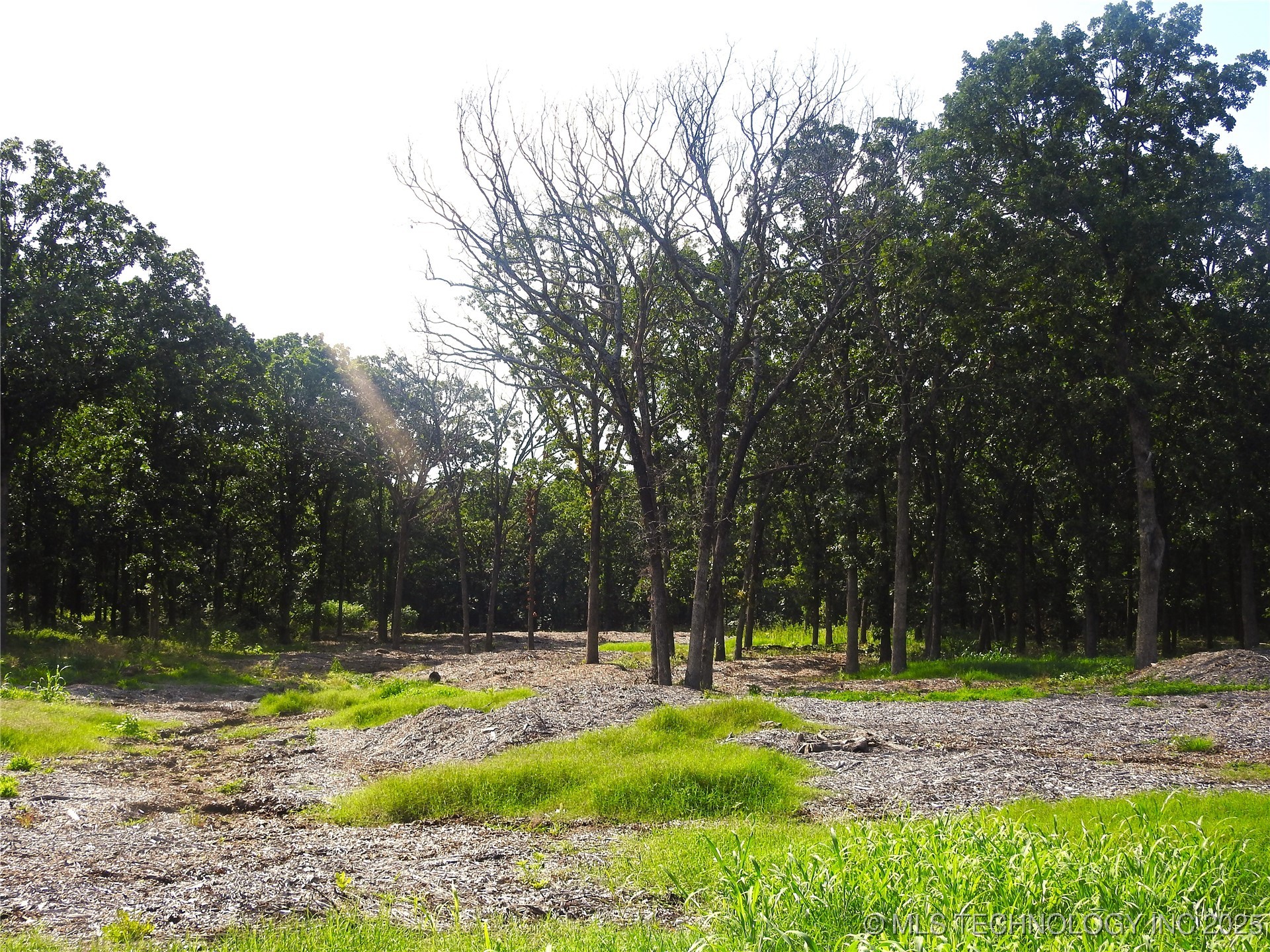 20910 Black Jack Trail Property Photo 4