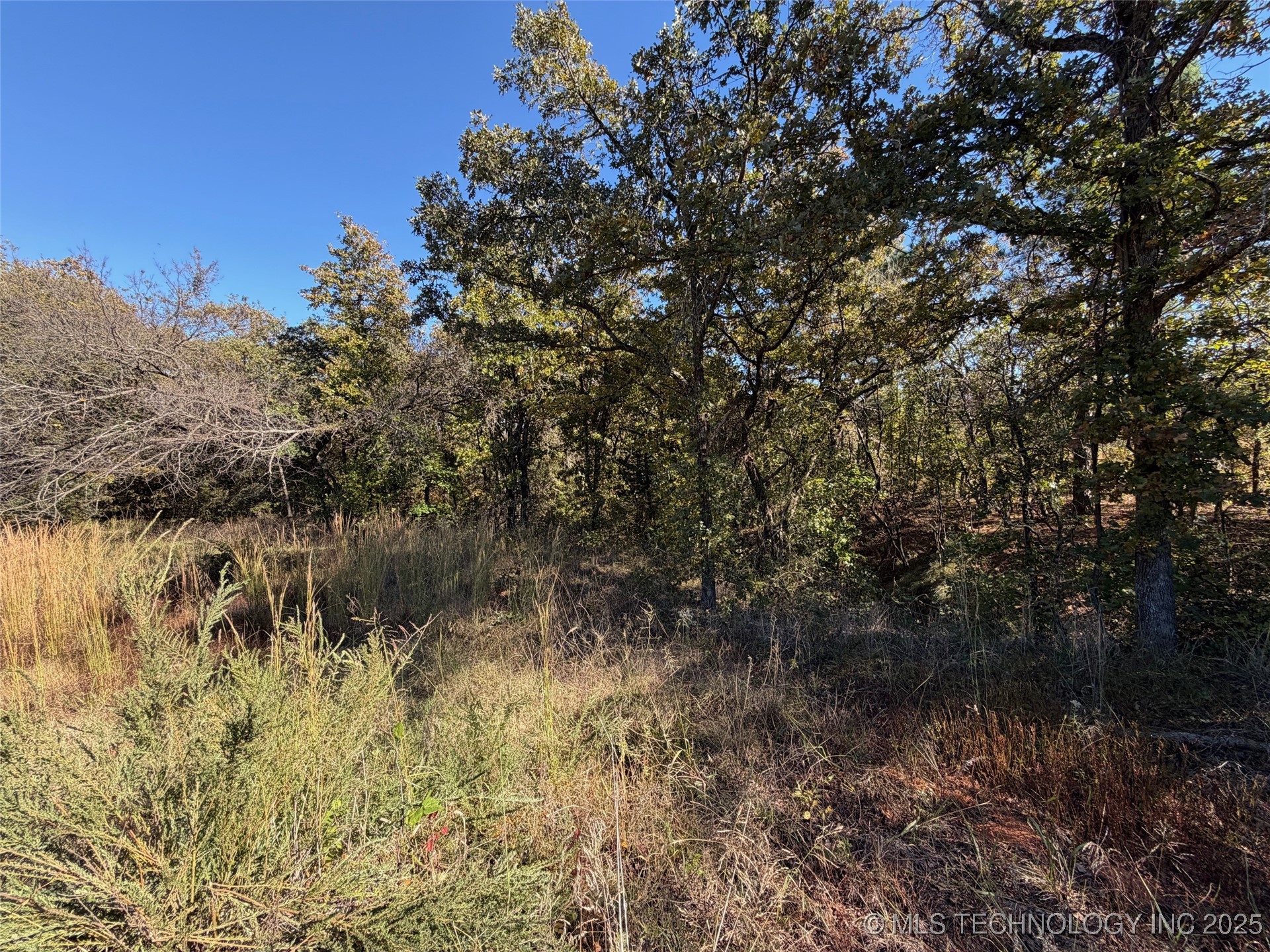 11500 Garden Way Property Photo 6