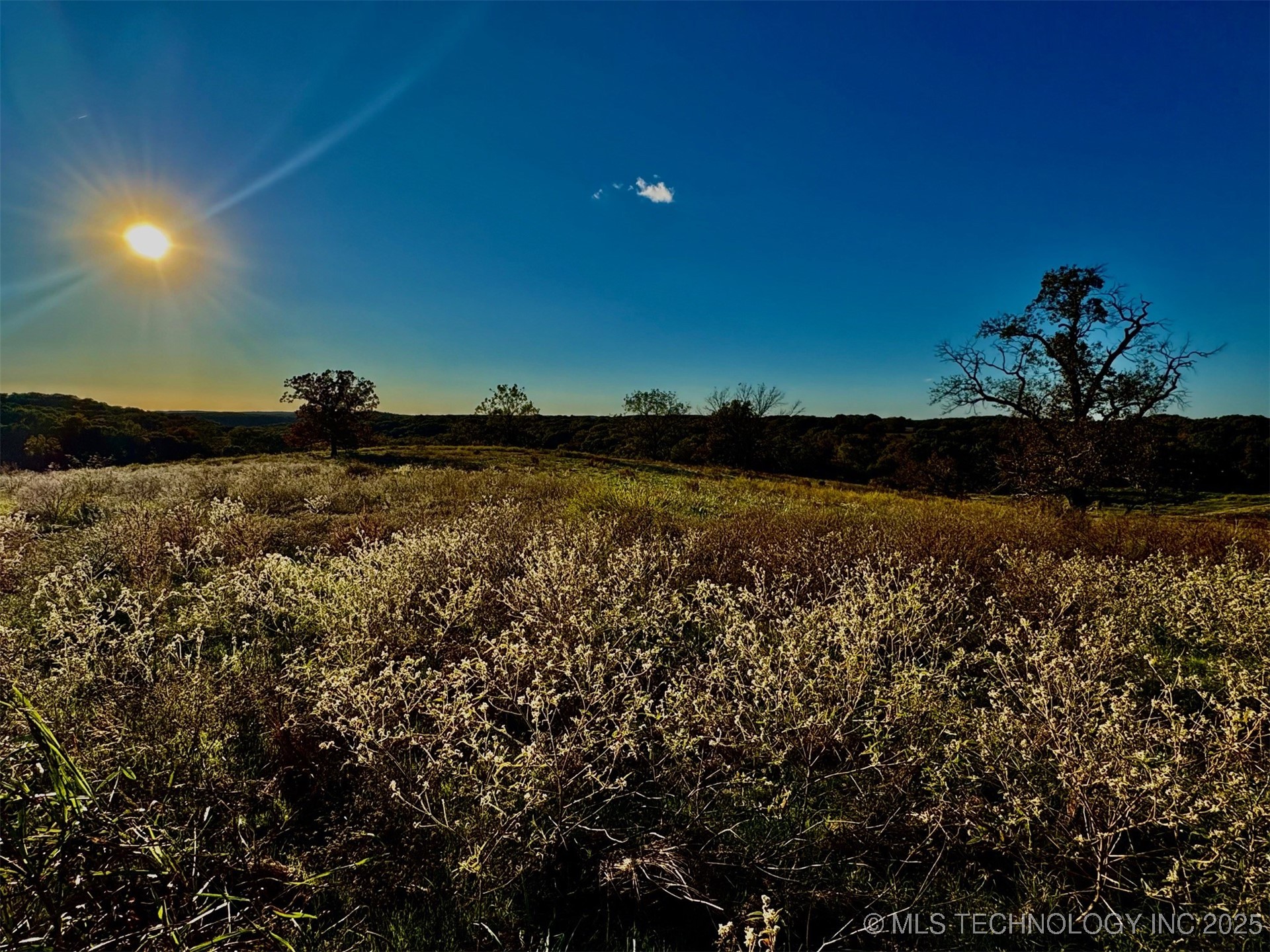 100 Highway Property Photo 3