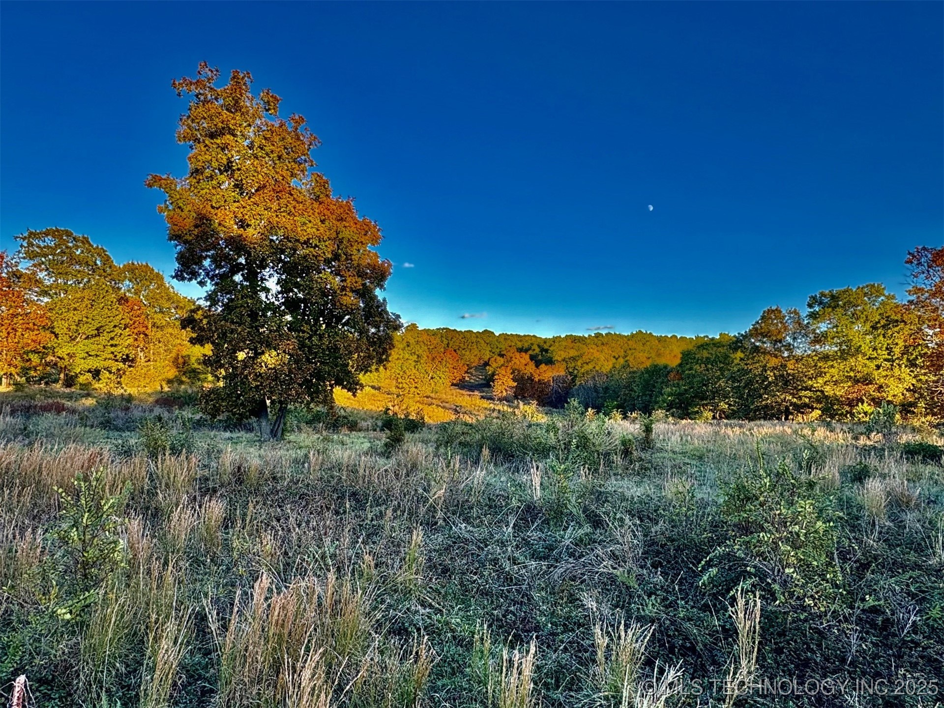 S Welling Road Property Photo 1