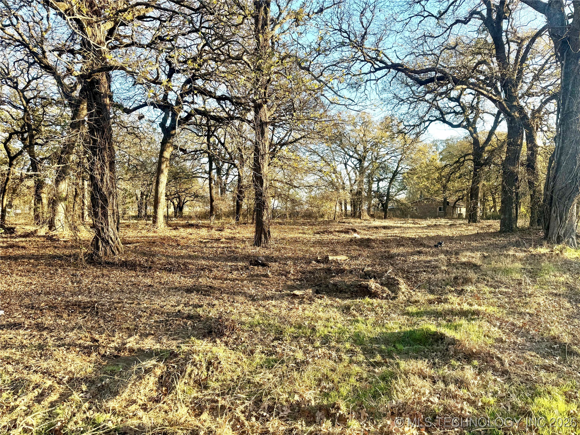 Hwy 77 Property Photo 10