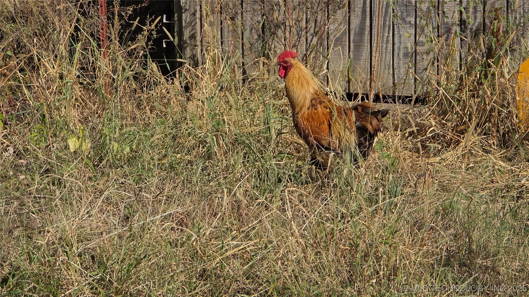 15802 S Elwood Avenue Property Photo 43