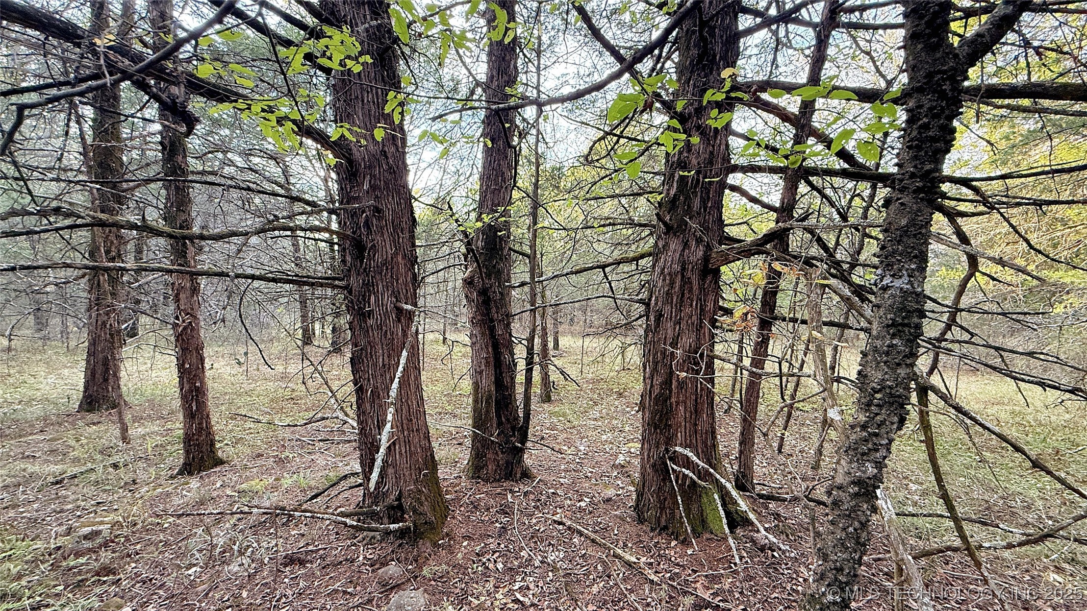 30000 Hummingbird Lane Property Photo 1