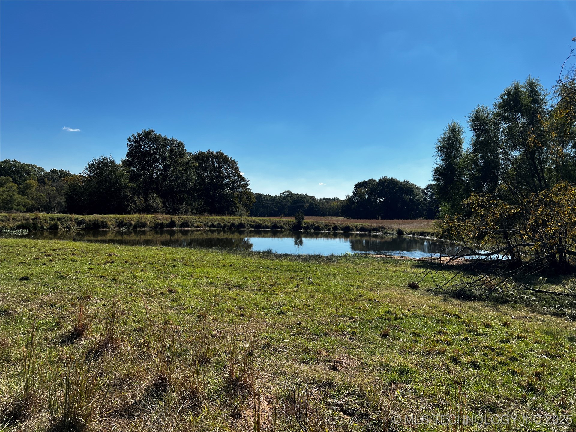 Buckholt Road Property Photo 4