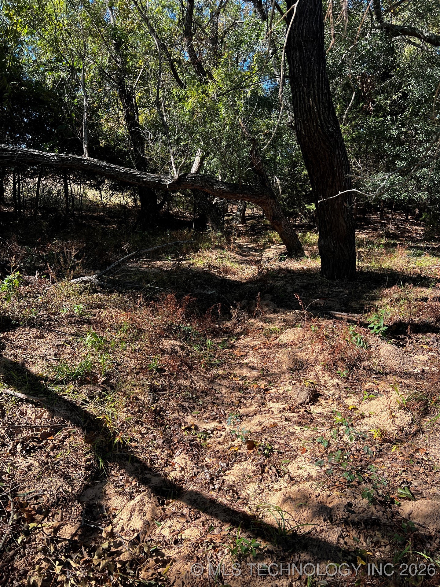 Buckholt Road Property Photo 6