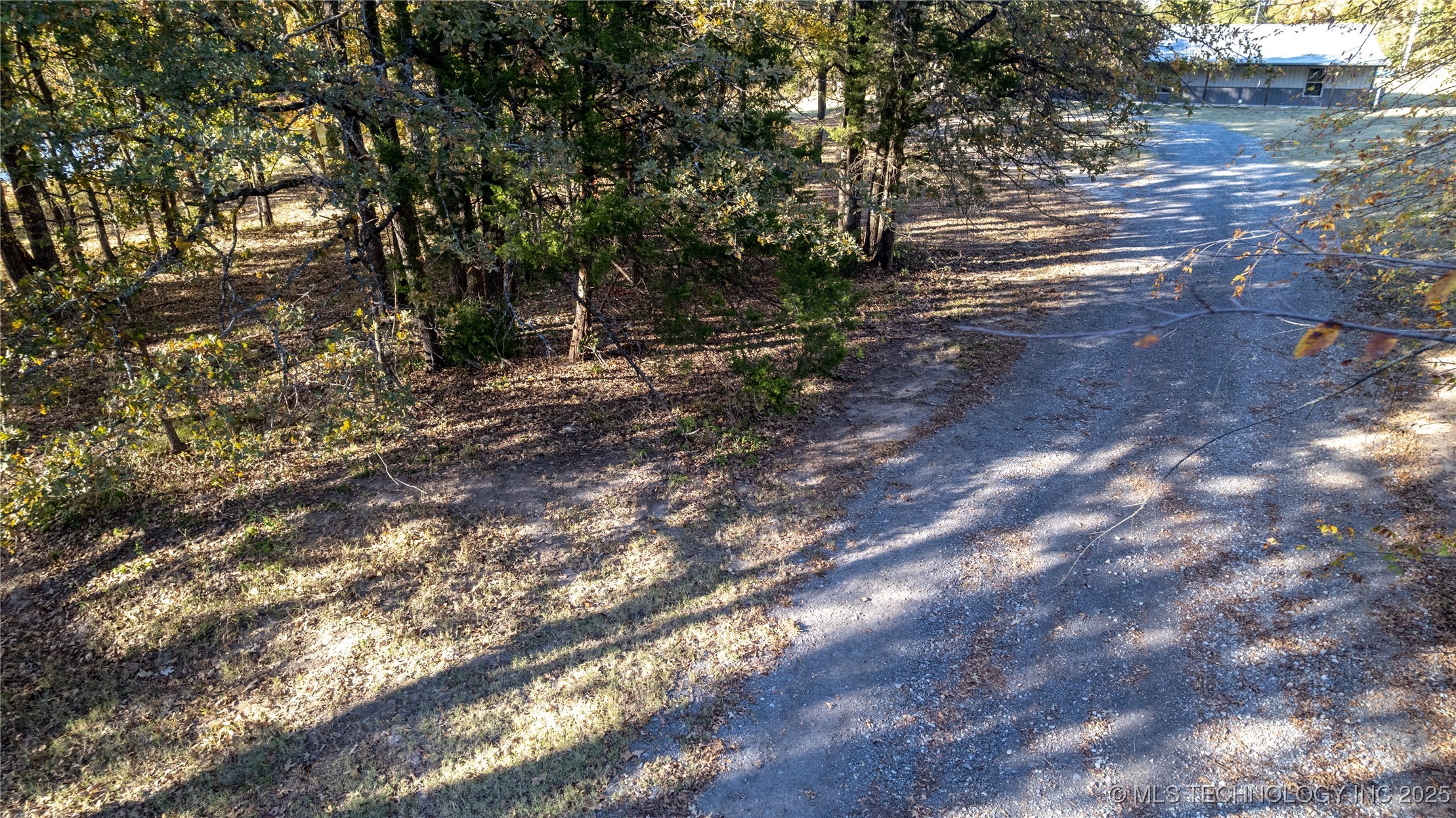 30600 County Road 1491 Property Photo 3