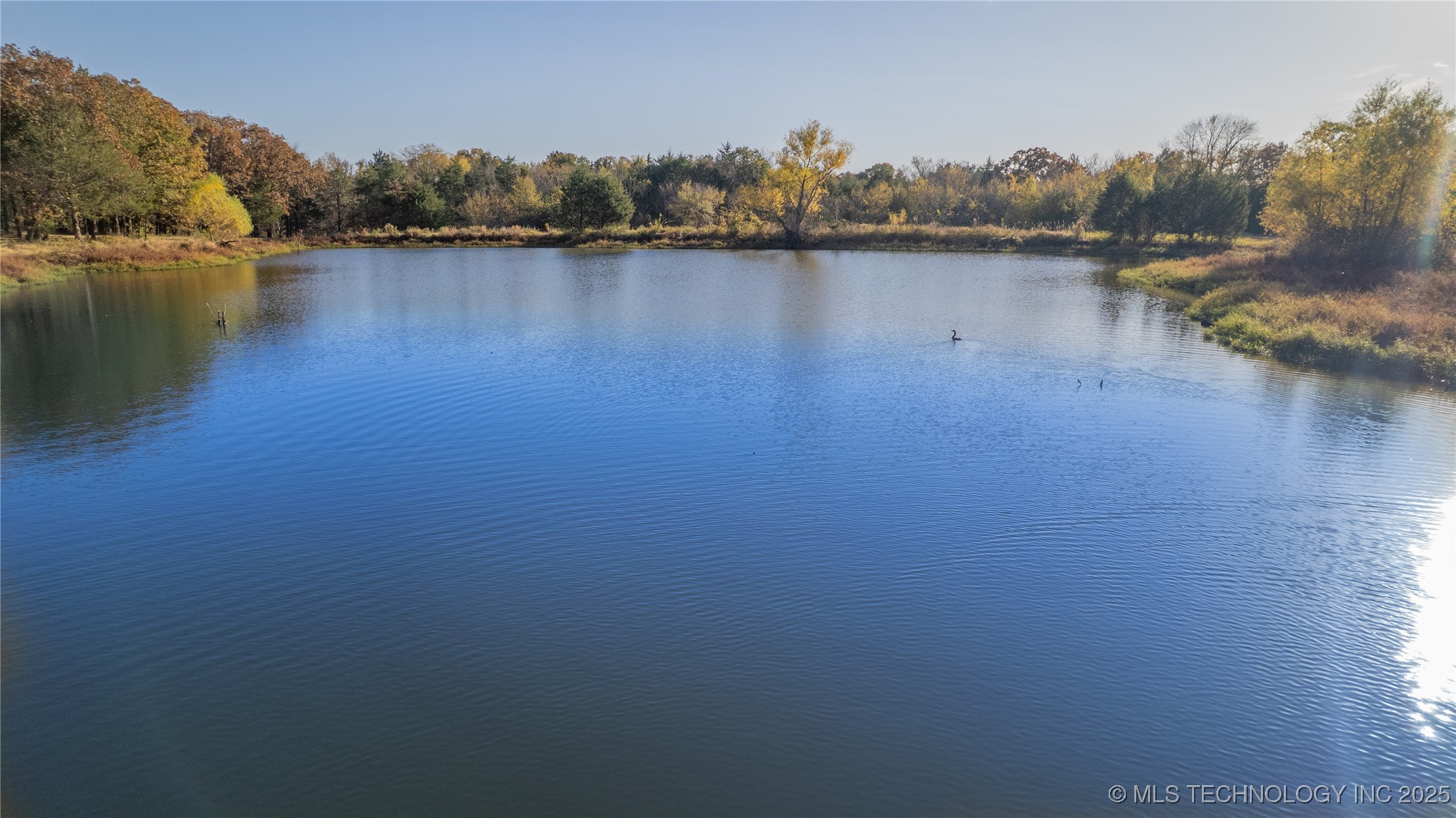 30600 County Road 1491 Property Photo 18