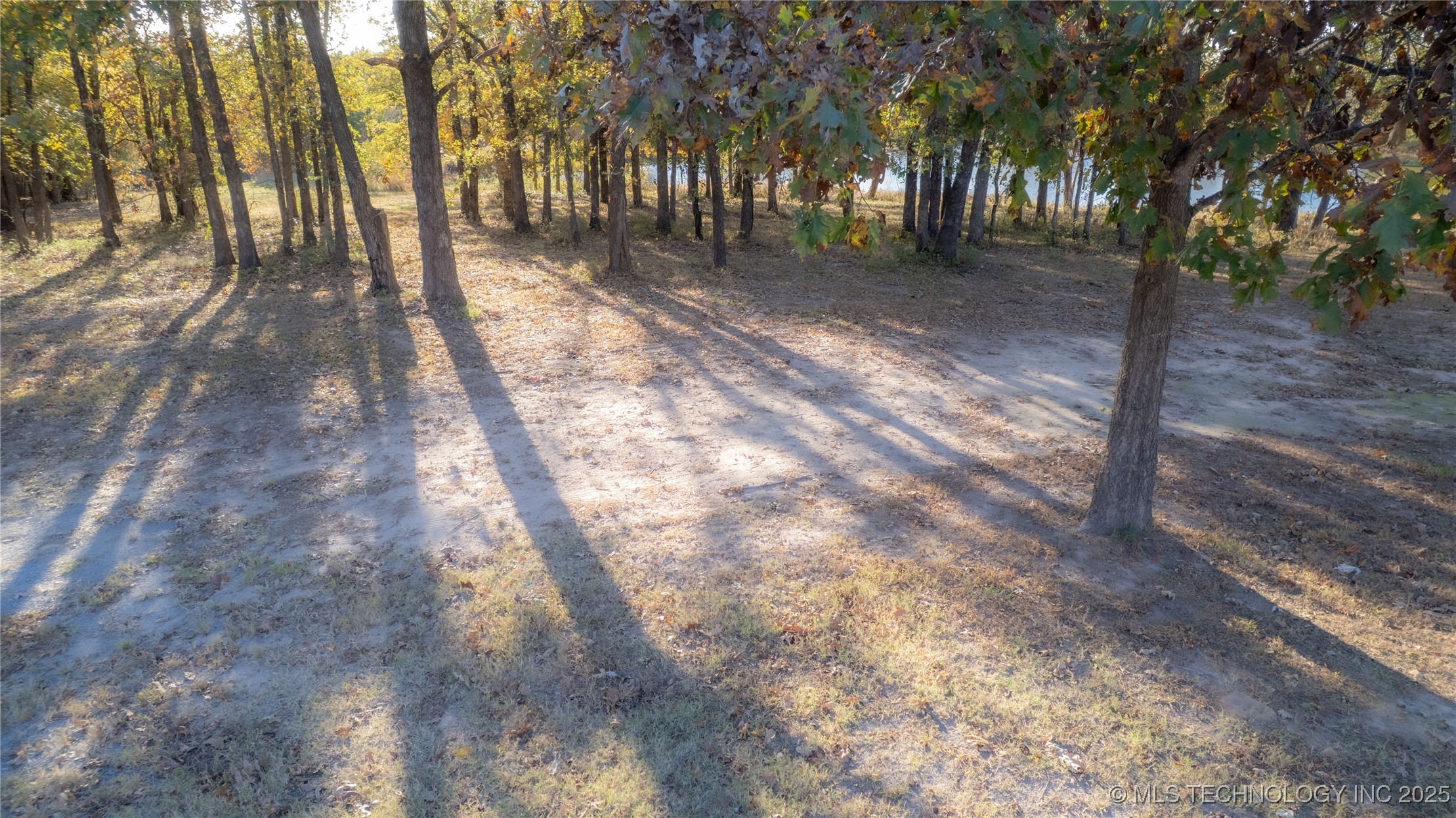 30600 County Road 1491 Property Photo 27