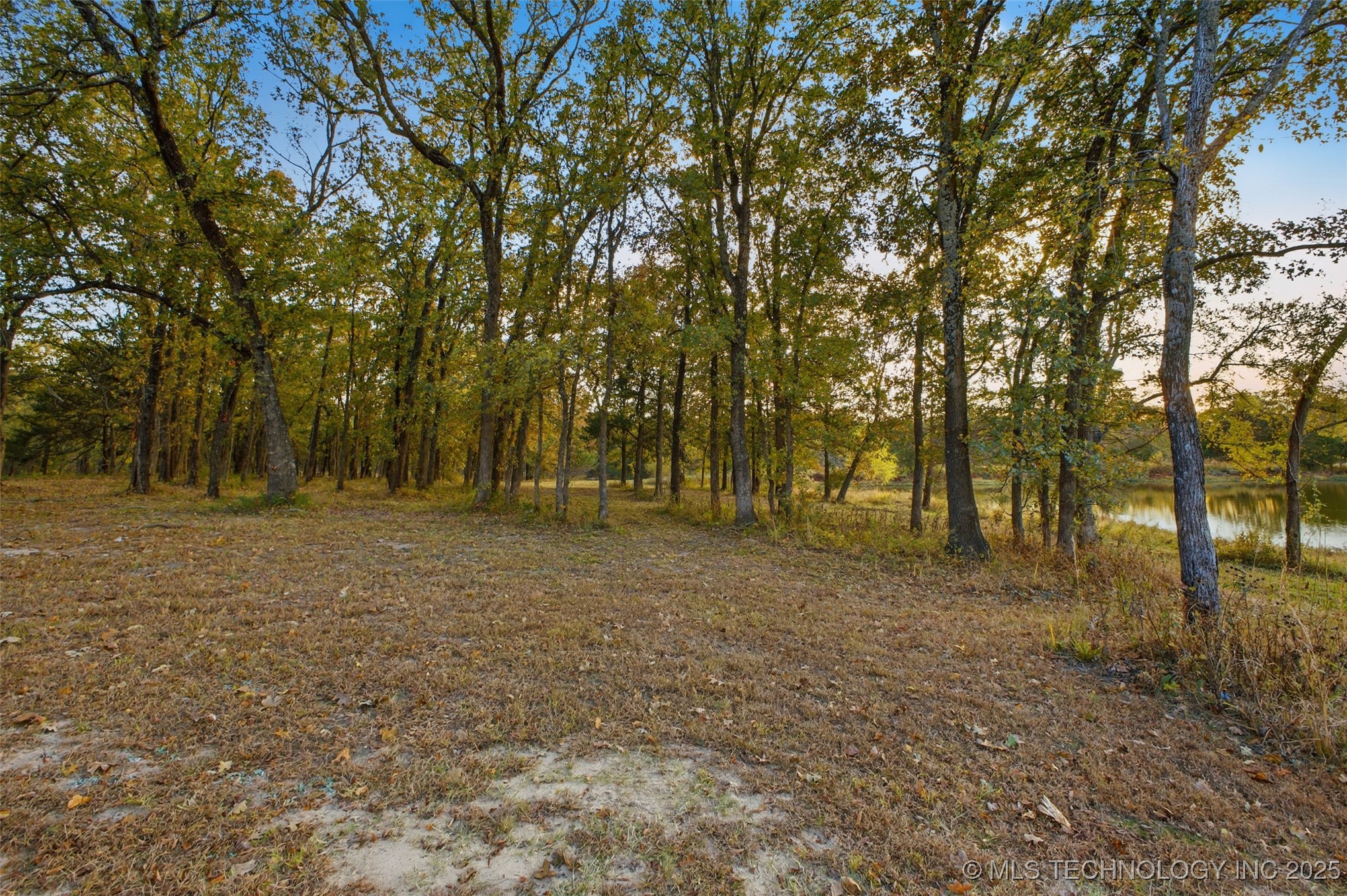 30600 County Road 1491 Property Photo 59