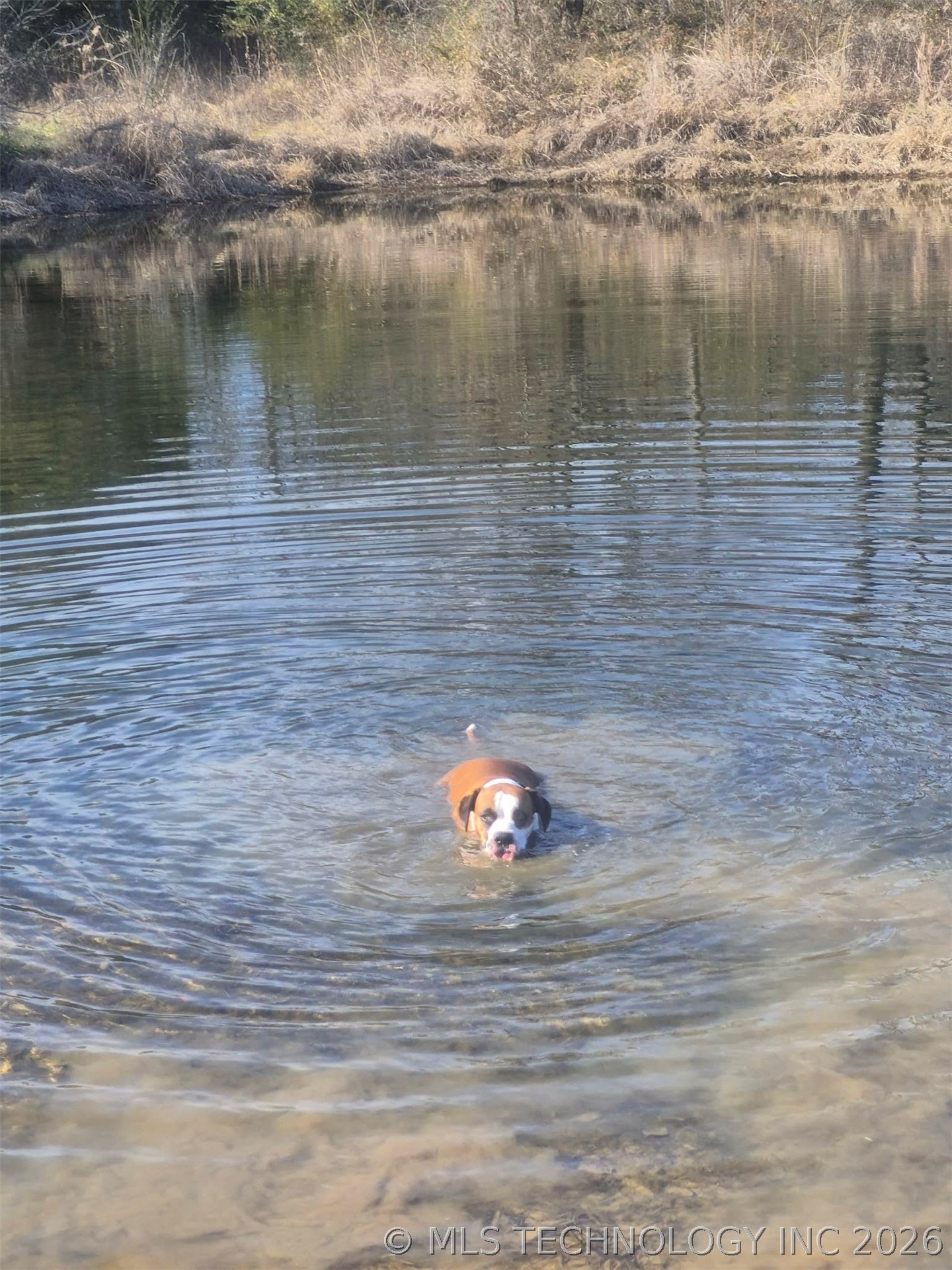 3998 E 173rd Street S Property Photo 54
