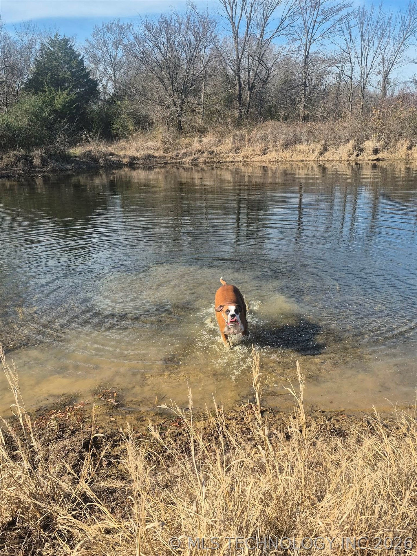 3998 E 173rd Street S Property Photo 57