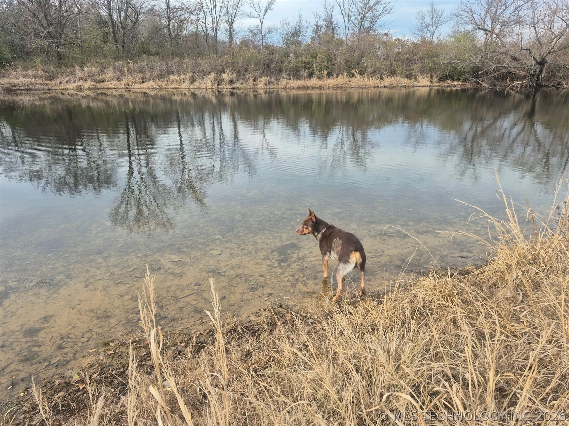 3998 E 173rd Street S Property Photo 60
