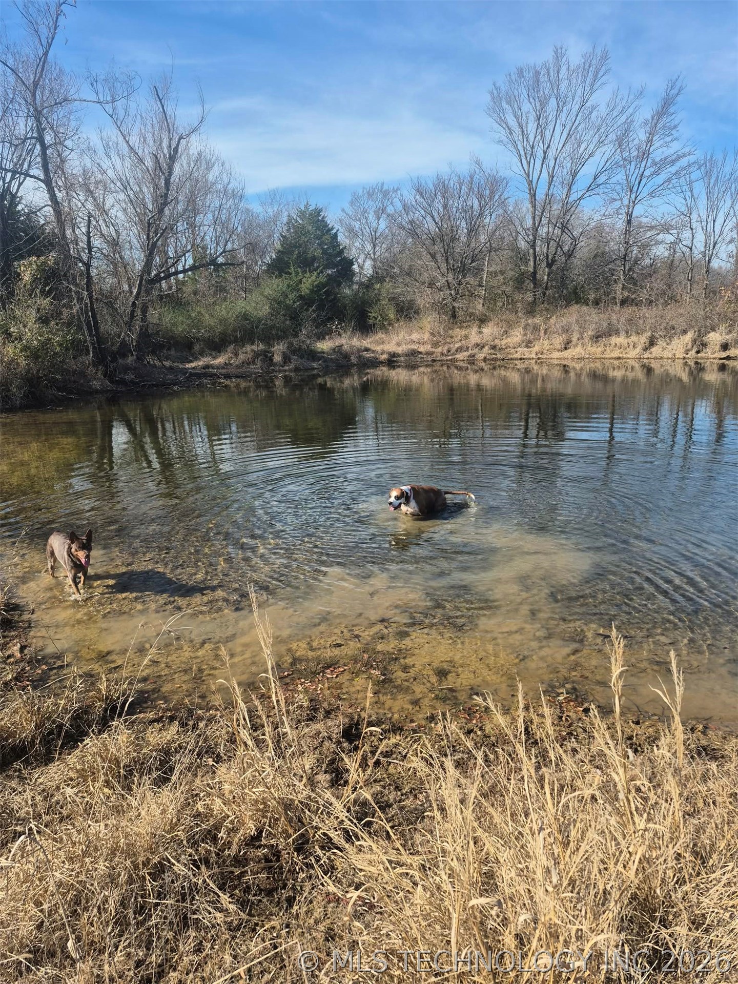 3998 E 173rd Street S Property Photo 61