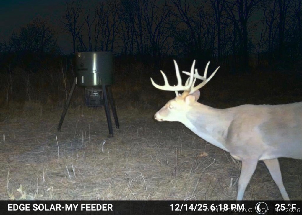 Smiley Road Property Photo 7