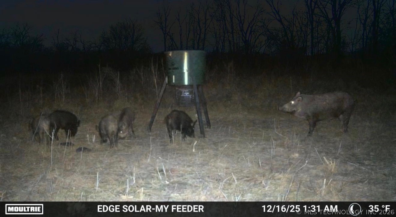 Smiley Road Property Photo 8