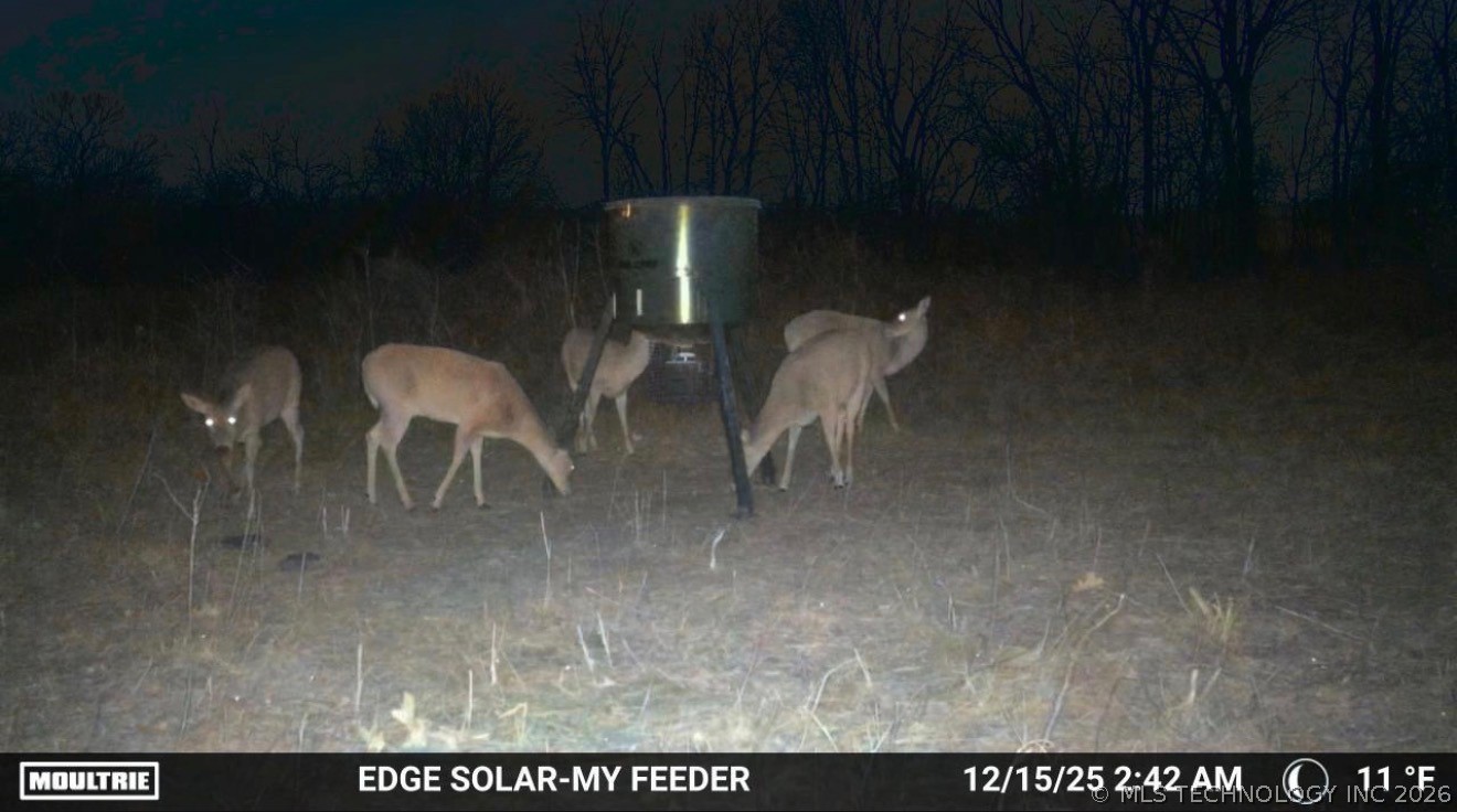 Smiley Road Property Photo 9