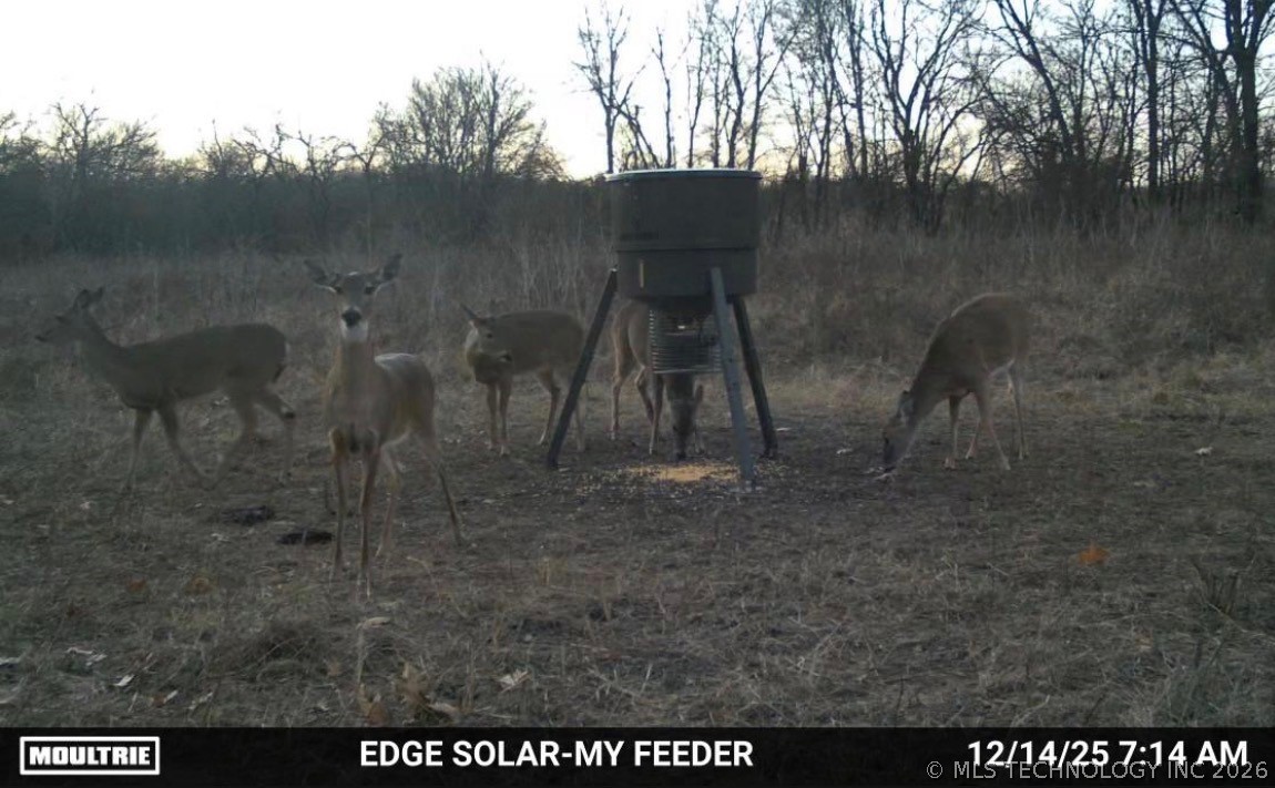 Smiley Road Property Photo 10