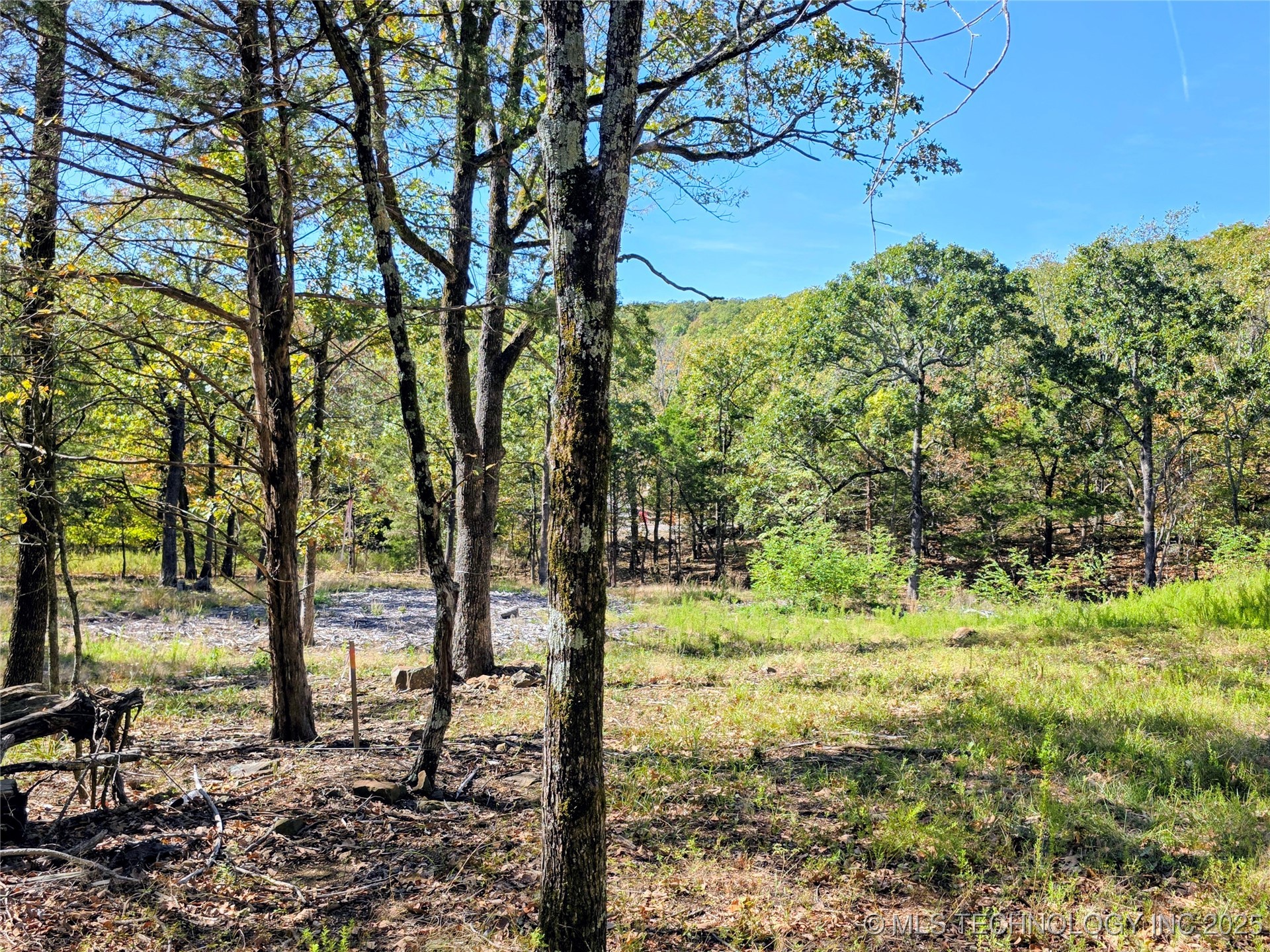 Mason Oaks Property Photo 1