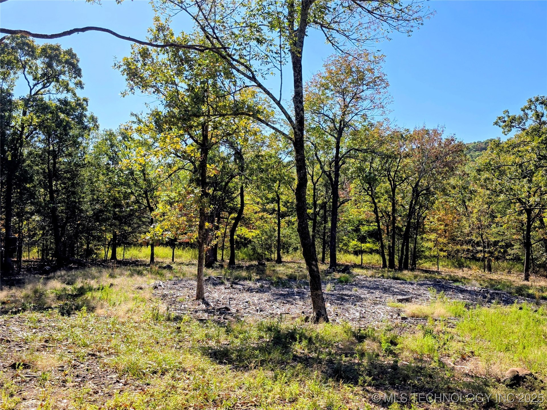 Mason Oaks Property Photo 2