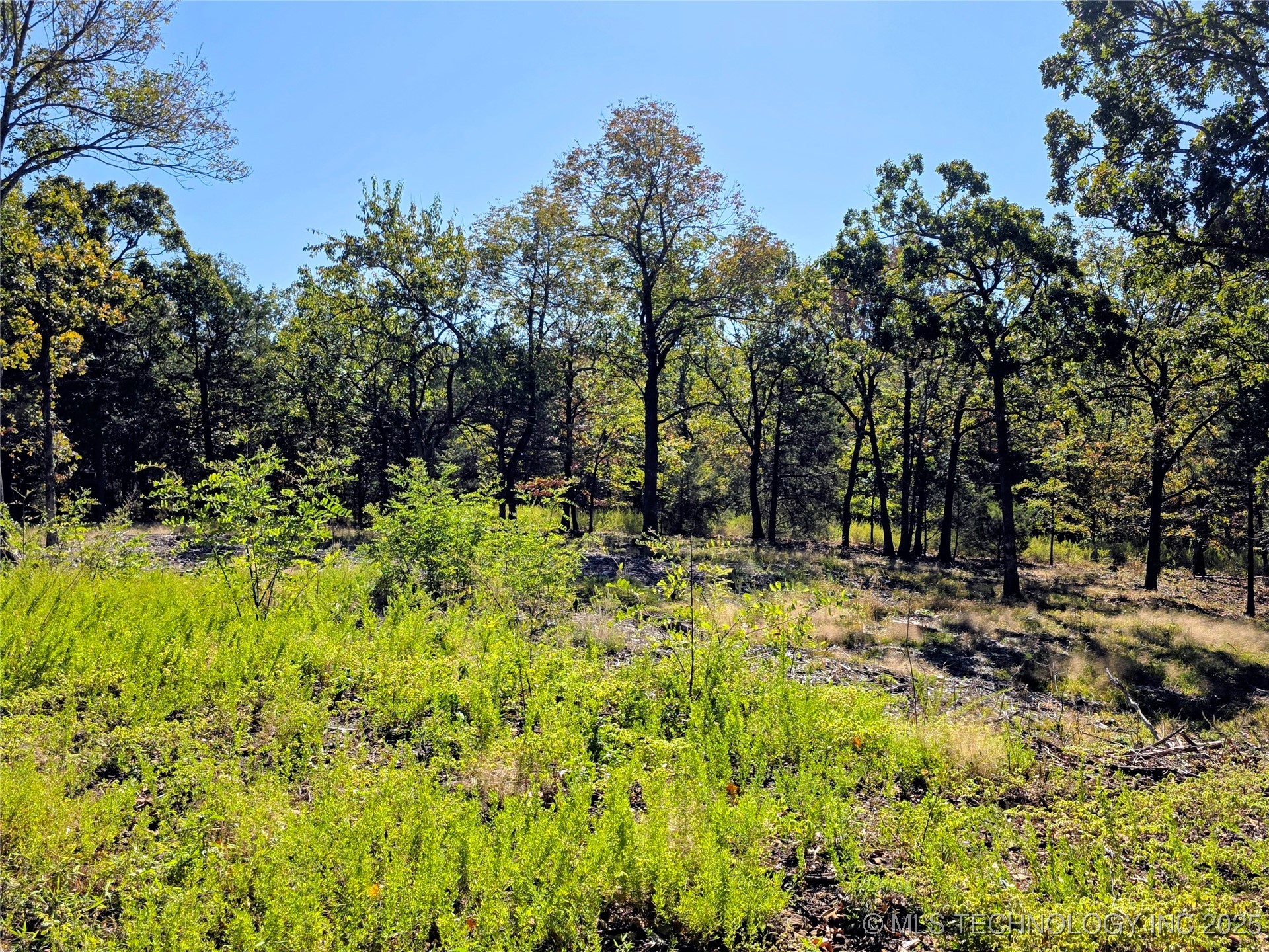 Mason Oaks Property Photo 5