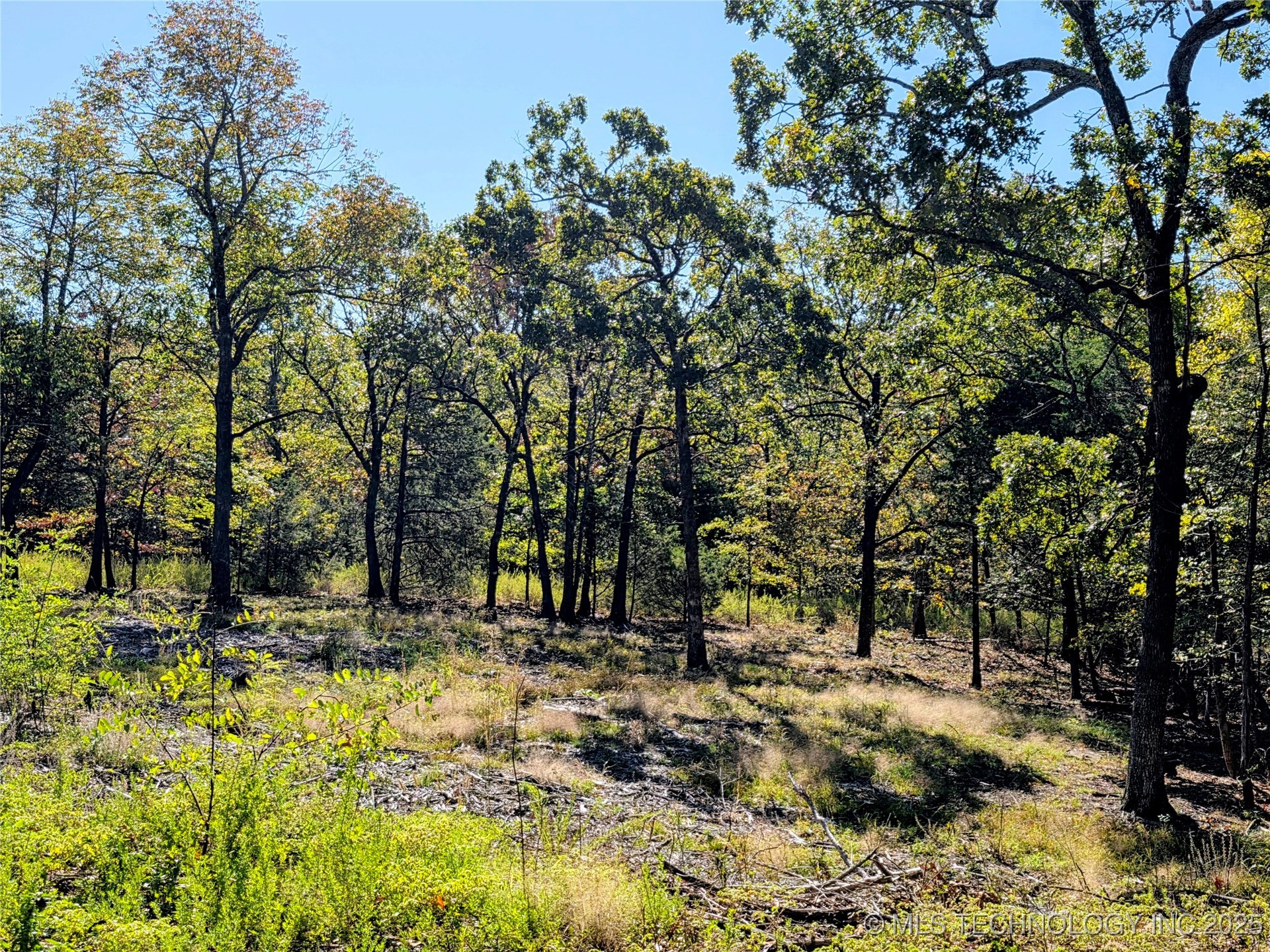 Mason Oaks Property Photo 6