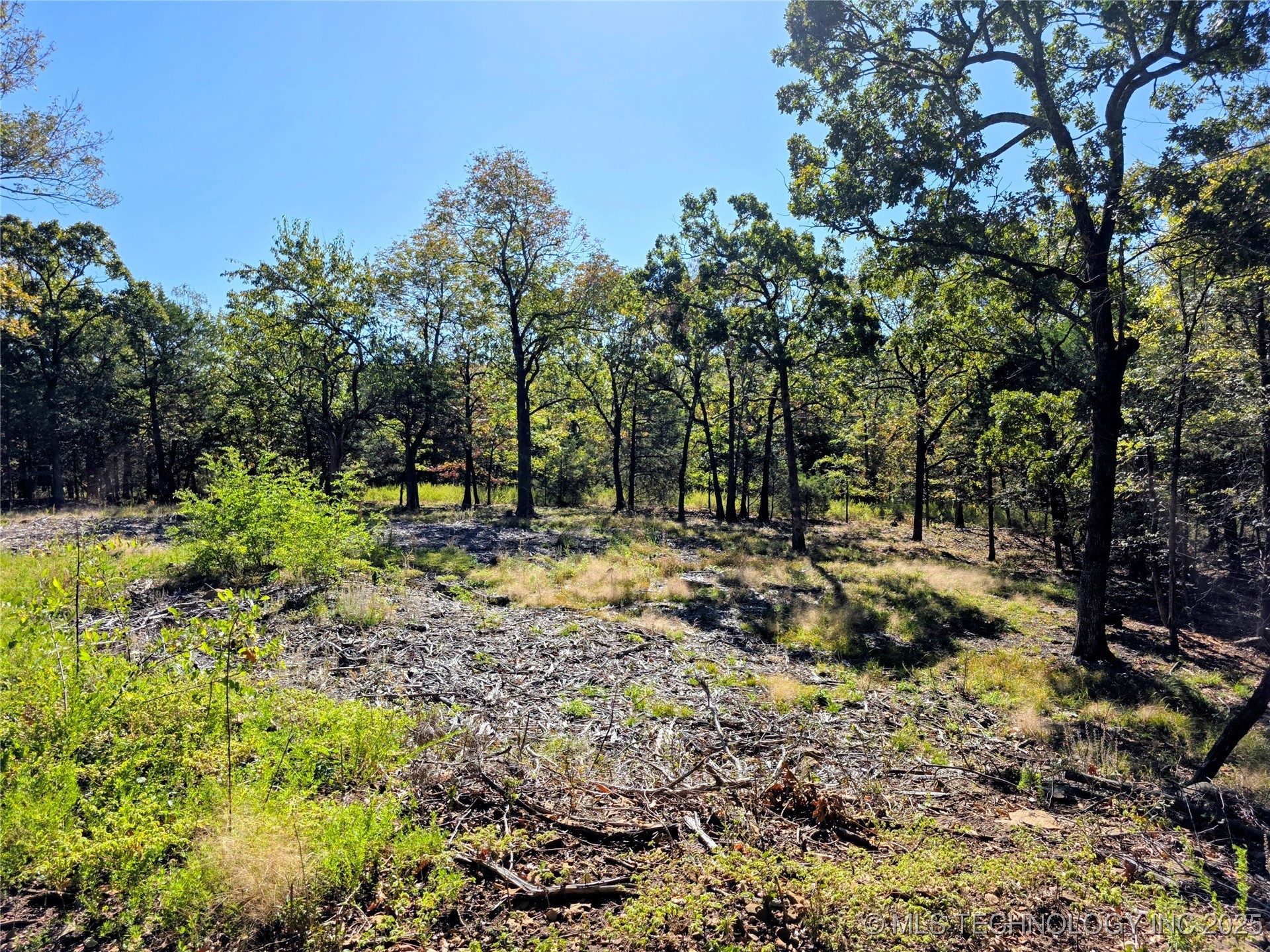 Mason Oaks Property Photo 7