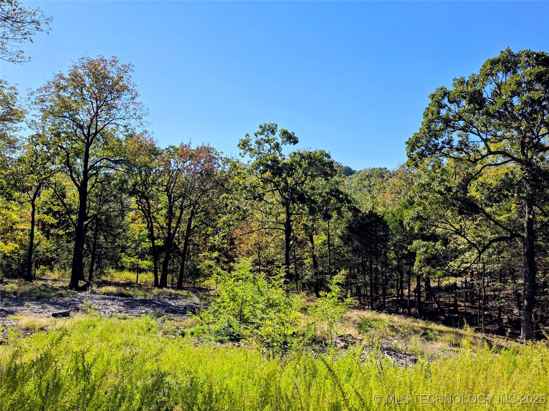 Mason Oaks Property Photo 8