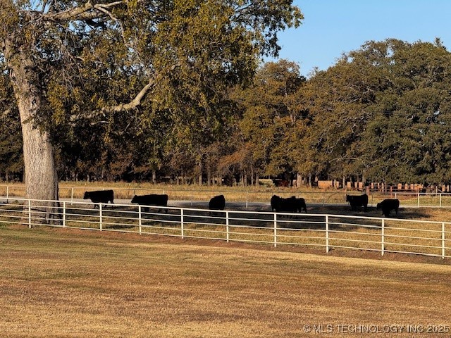 12565 White Rose Road Property Photo 12