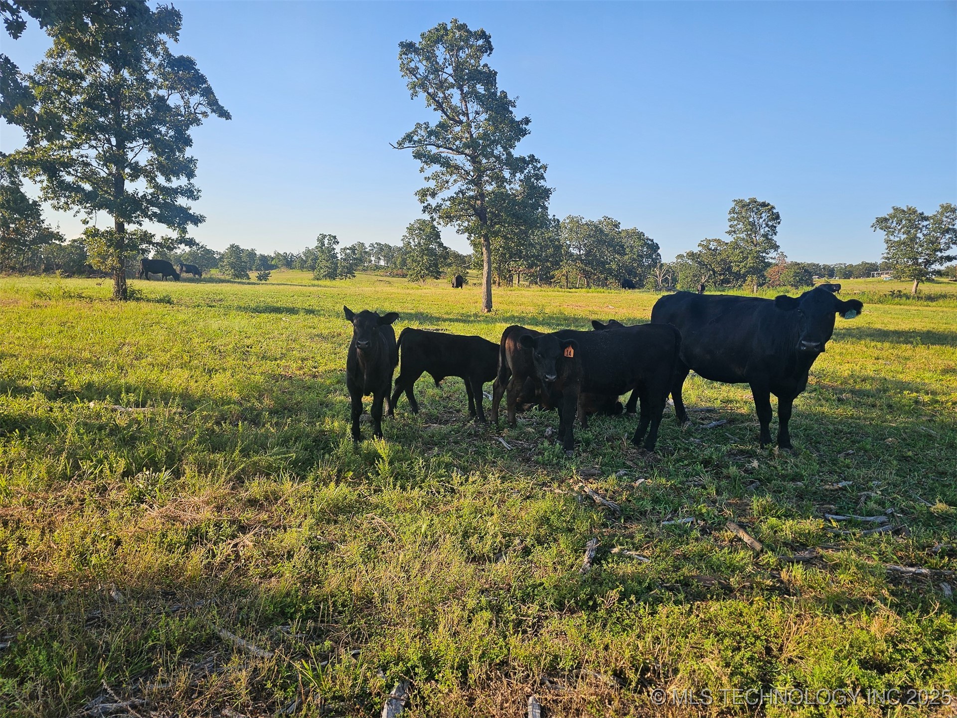 43681 W 71st Street S Property Photo 34